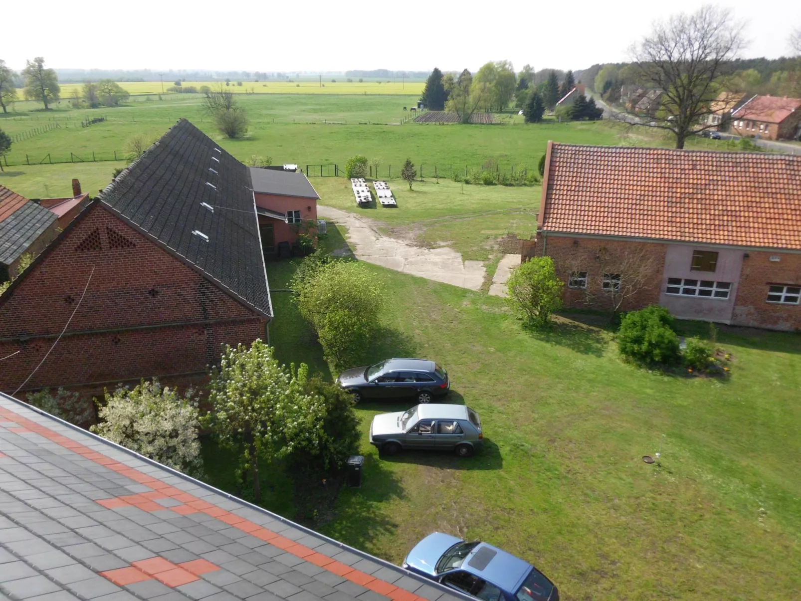 Rodd-Image-tags.info