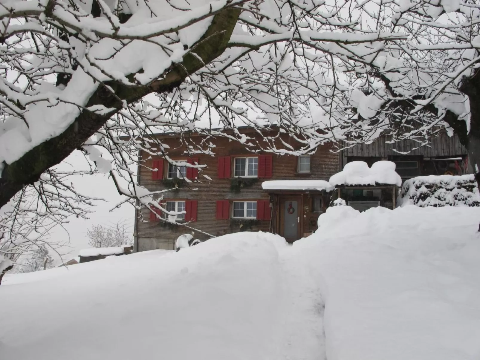 Perfekt-Image-tags.info