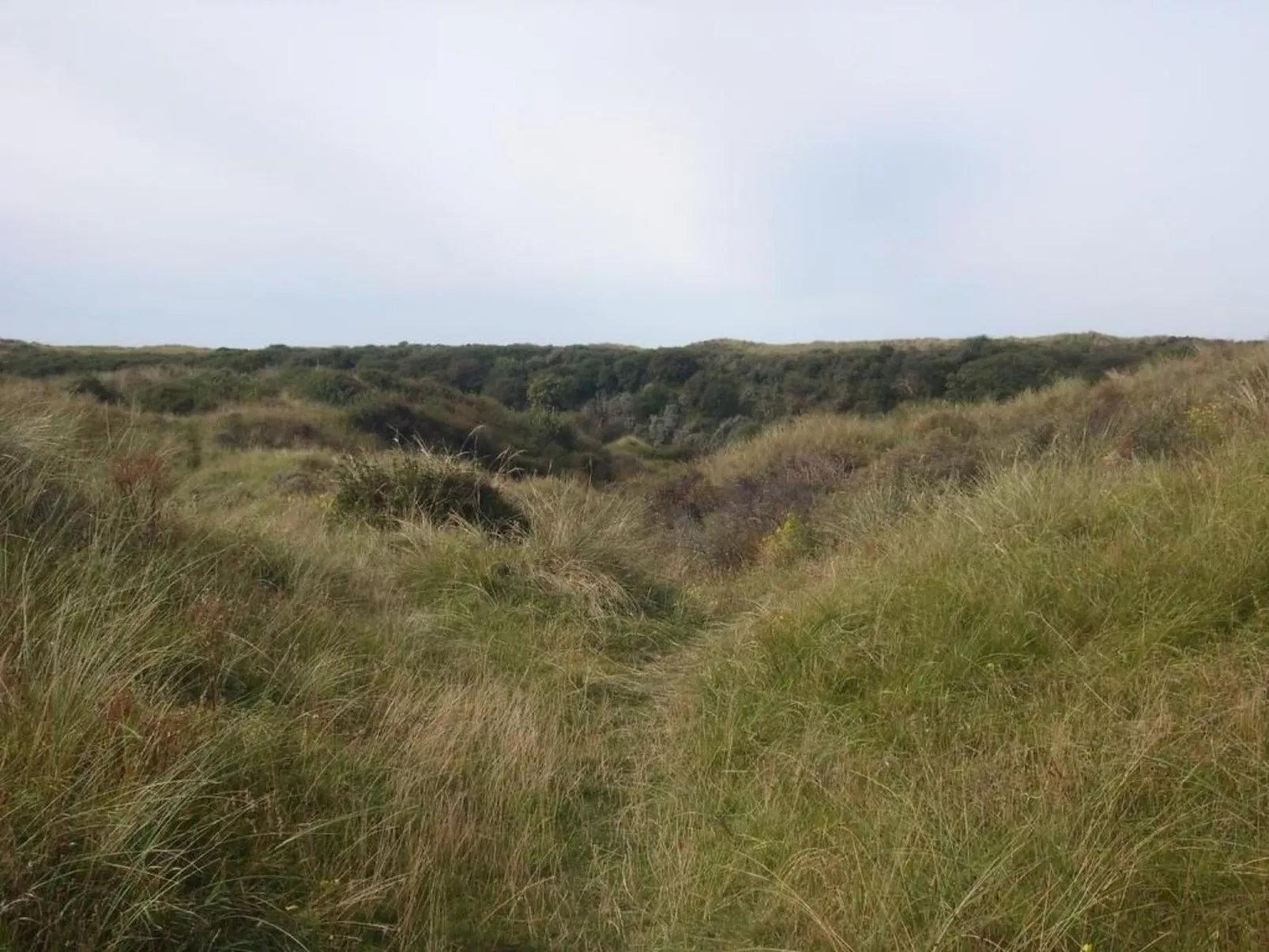 Strandhaus direkt am Meer-Image-tags.info