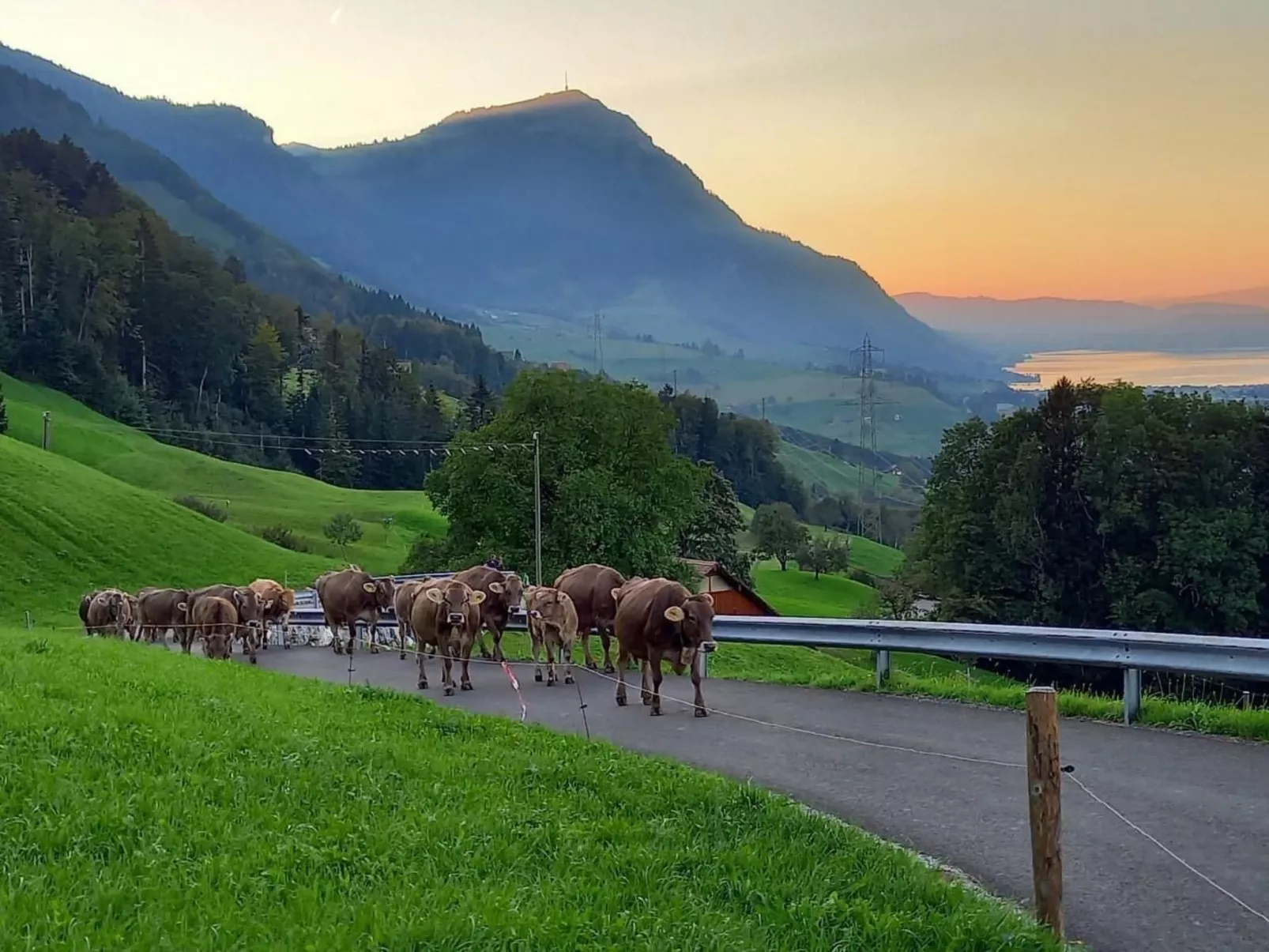 Biohof Langberg-Buiten