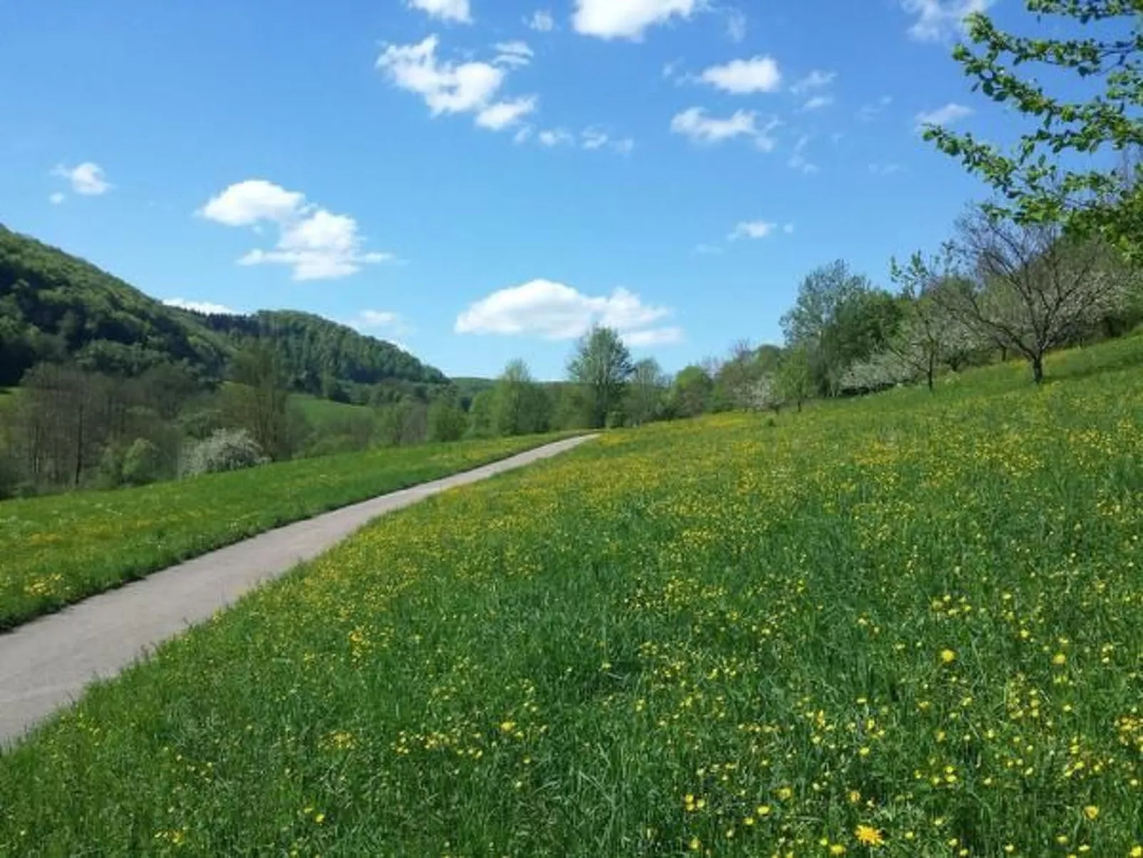 Ferienwohng. Susanne-Buiten