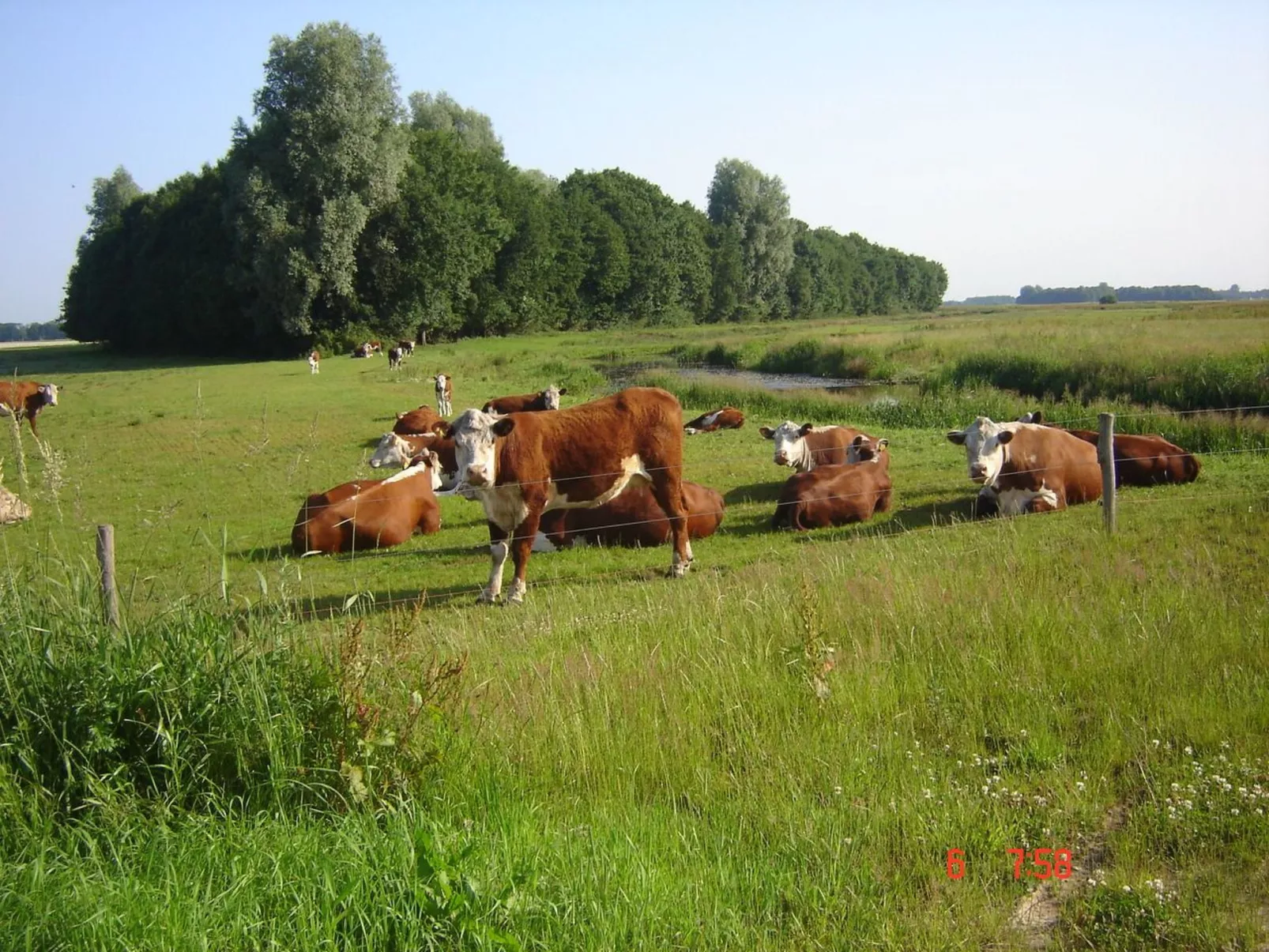 Urlaub wie früher auf einem Bauernhof mit dem Komfort von heute.-Image-tags.info