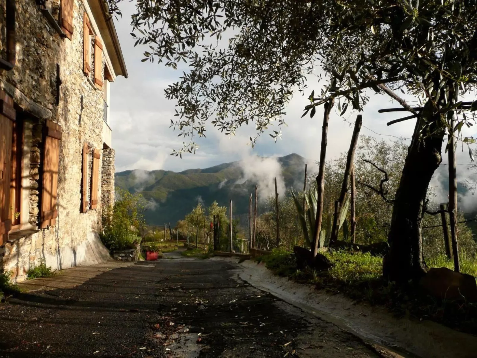 CASA SISSI, Sehnsuchtsort zwischen Olivenhainen-Buiten