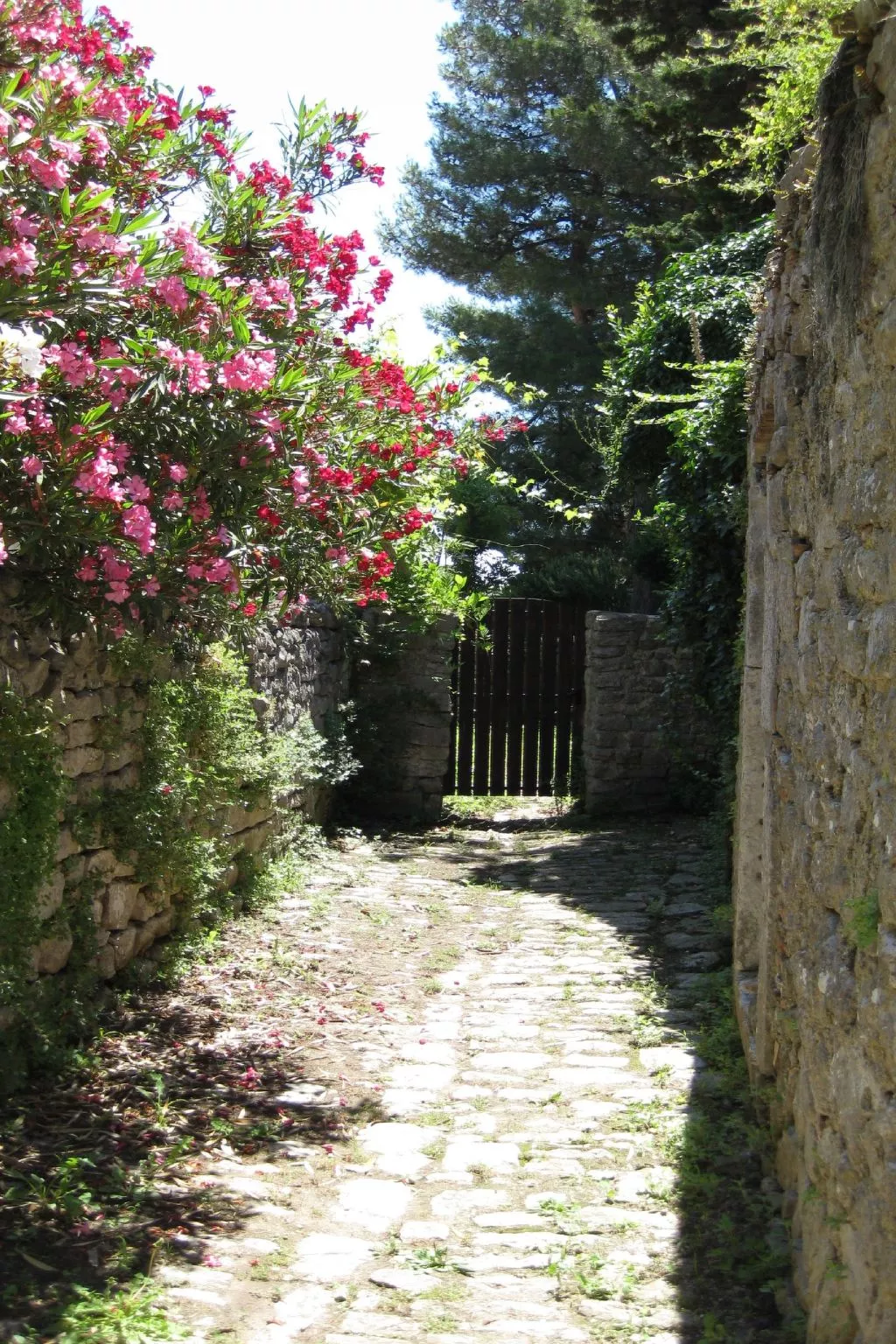 In Osor mit Privatem Pool-Buiten