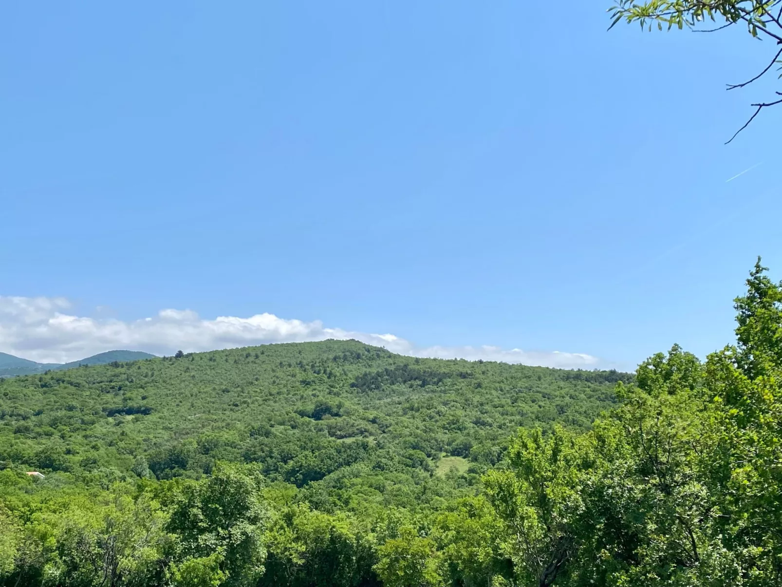 Villa Theresa-Buiten