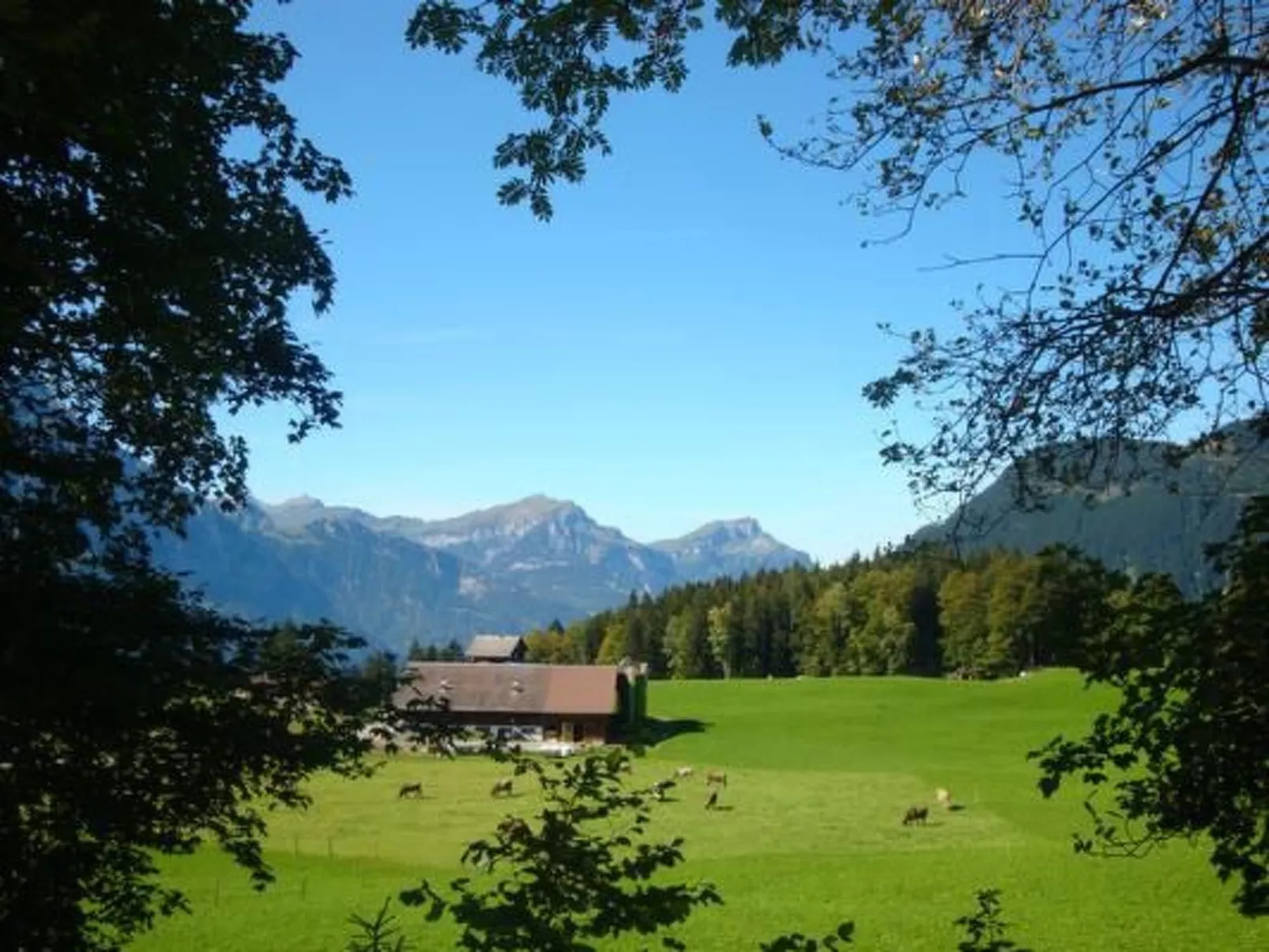 Ferien im grünen rechts-Buiten