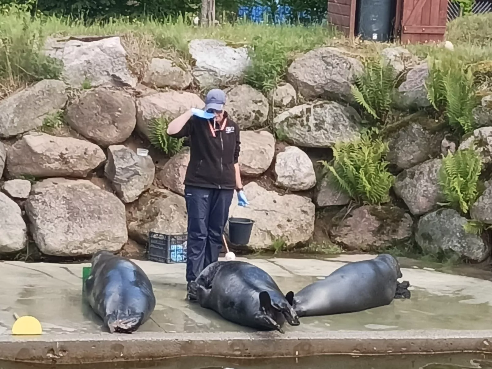 Sunny Baltic-Image-tags.info