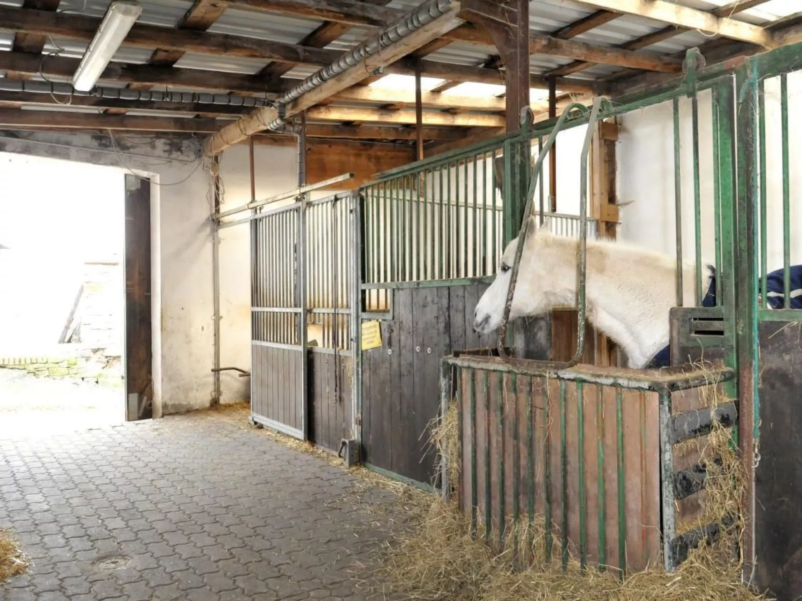 In Feldmannshof mit Grill und Garten-Buiten