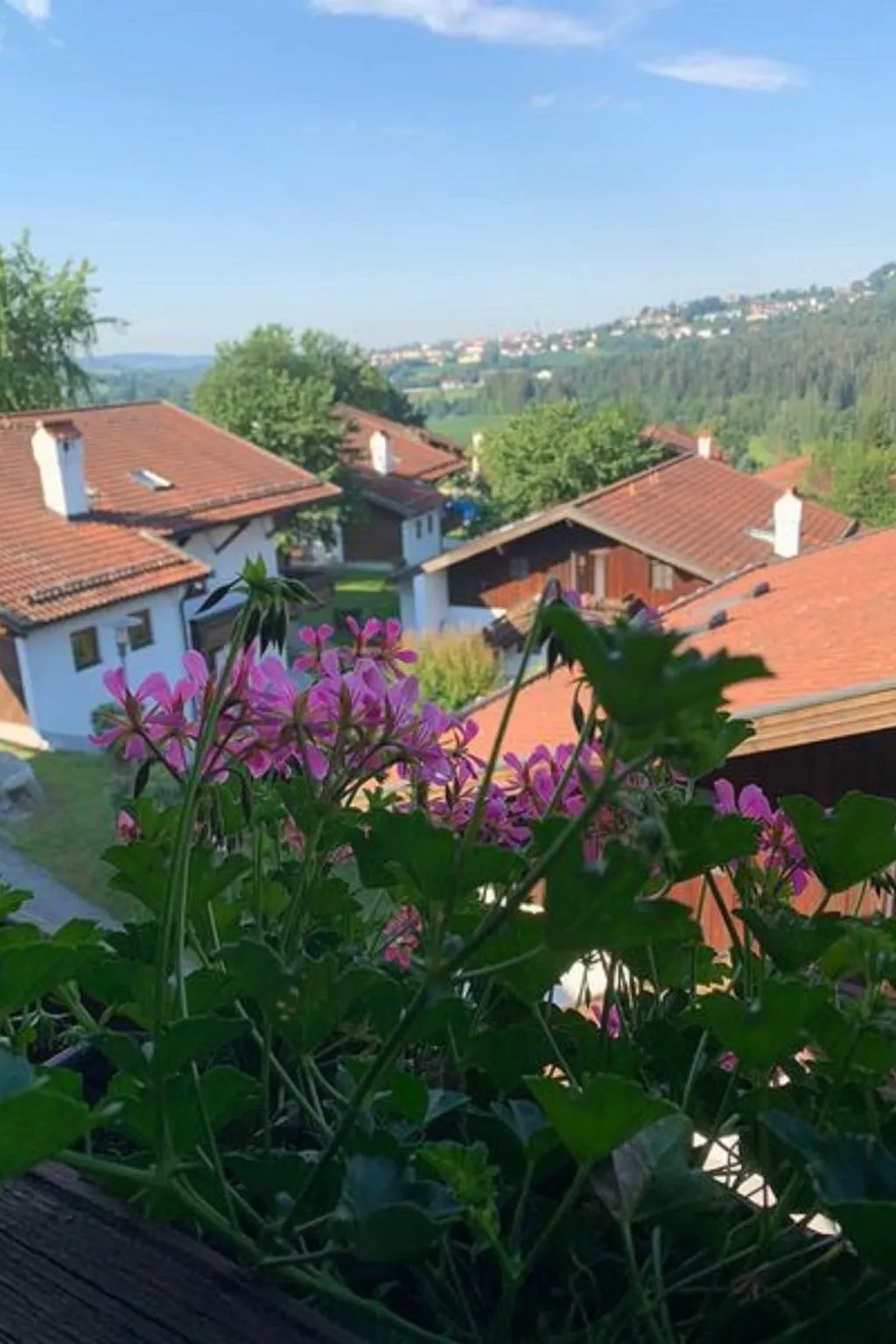 Appartement in Raßreuth mit gemeinsamem Pool-Buiten
