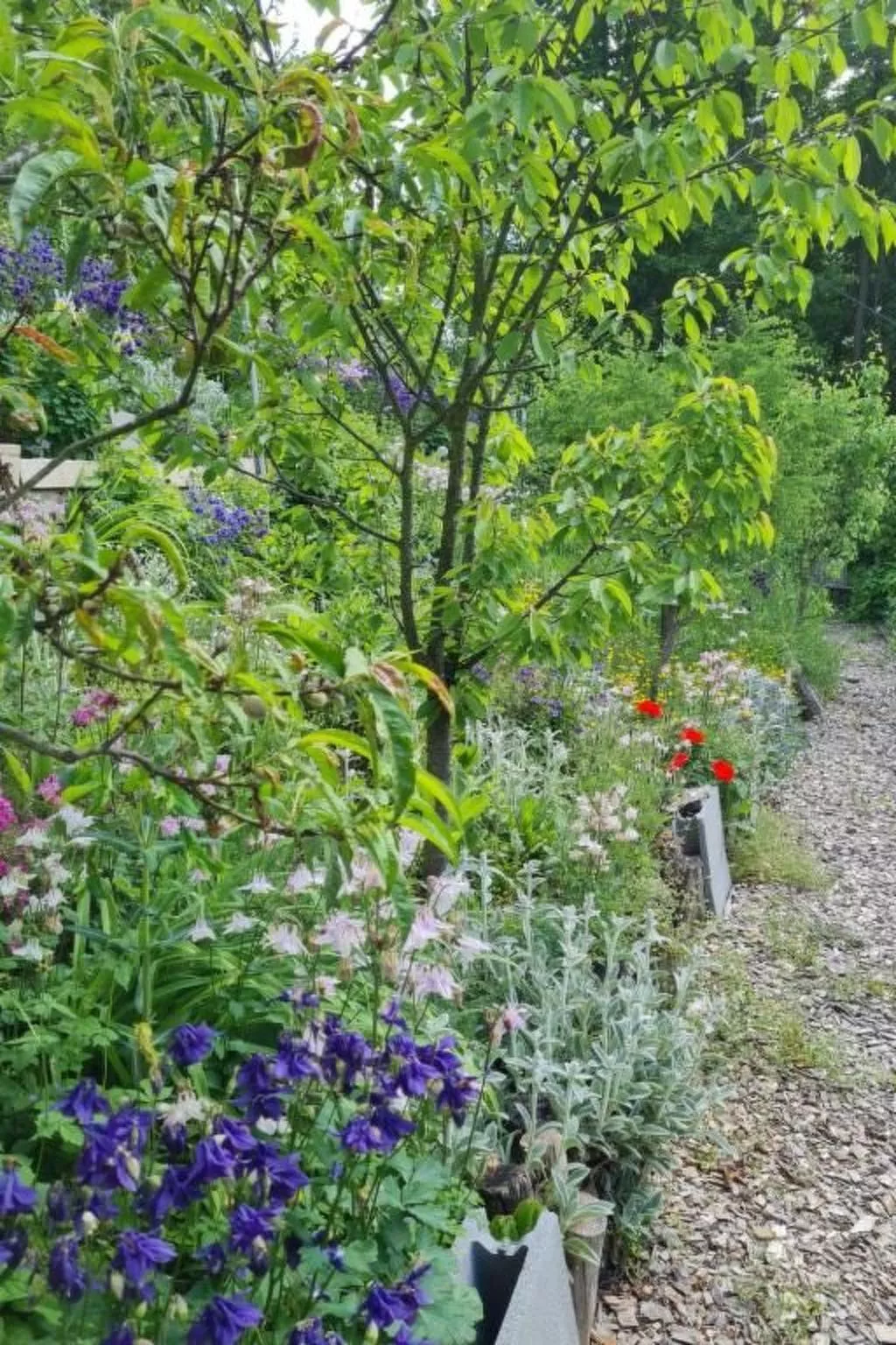 Roomantic Apartment für 4 Personen-Buiten