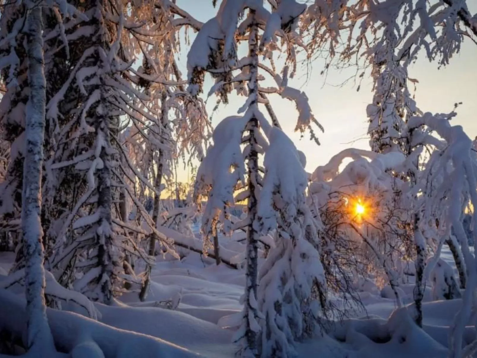 Gemütliches Ferienhaus in der Wildnis Lapplands-Buiten