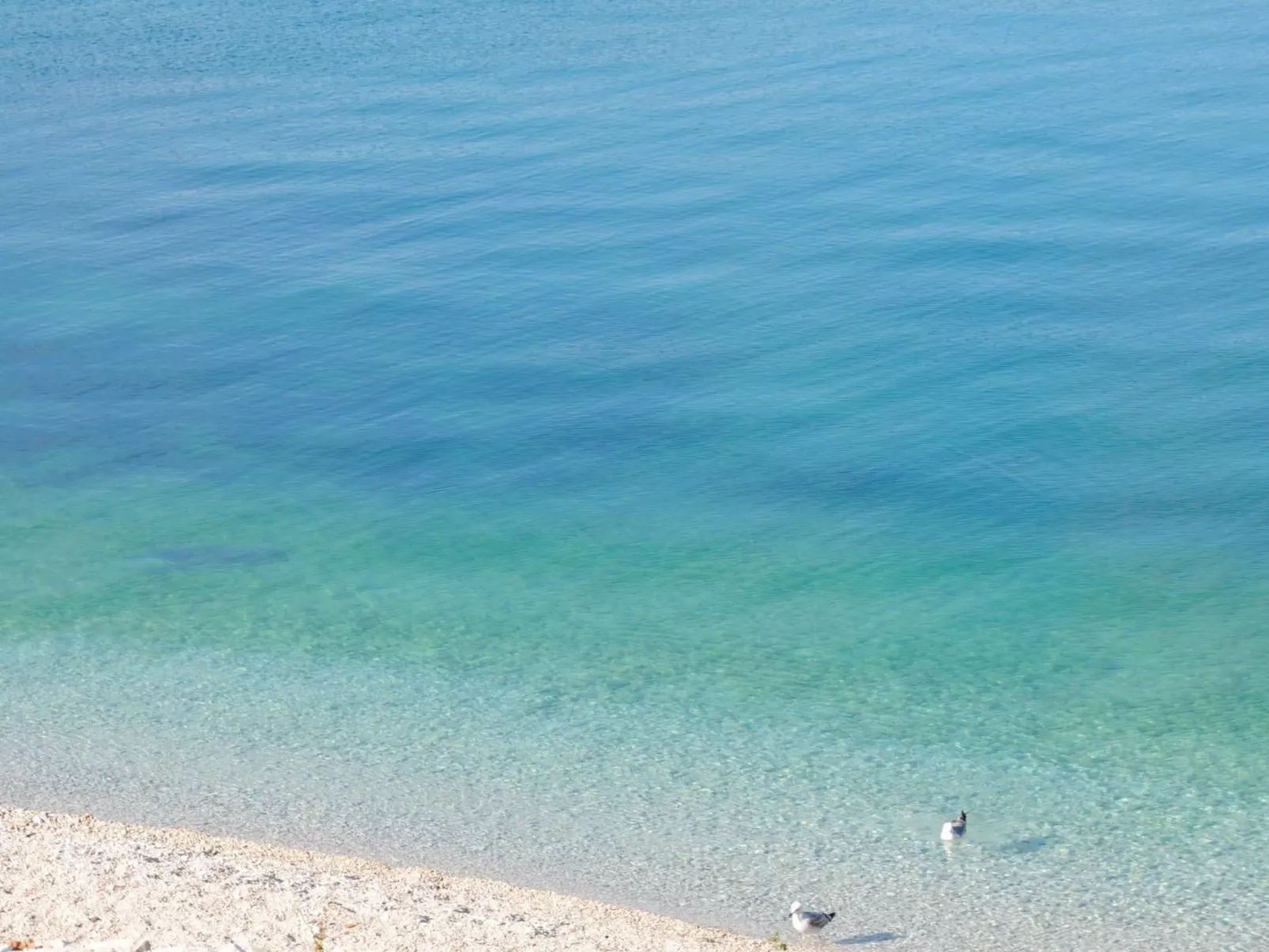 Geräumige Ferienwohnung mit Meerblick-Buiten