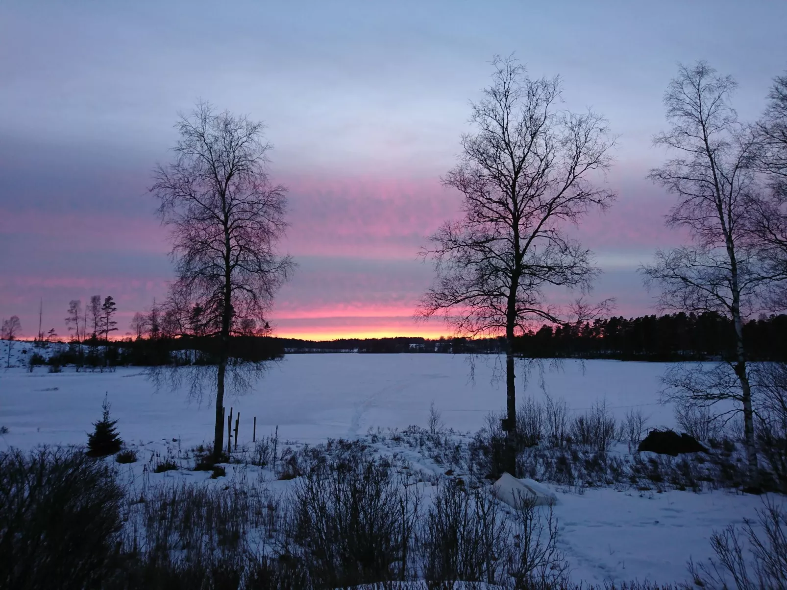 Saxarsviken-Image-tags.info