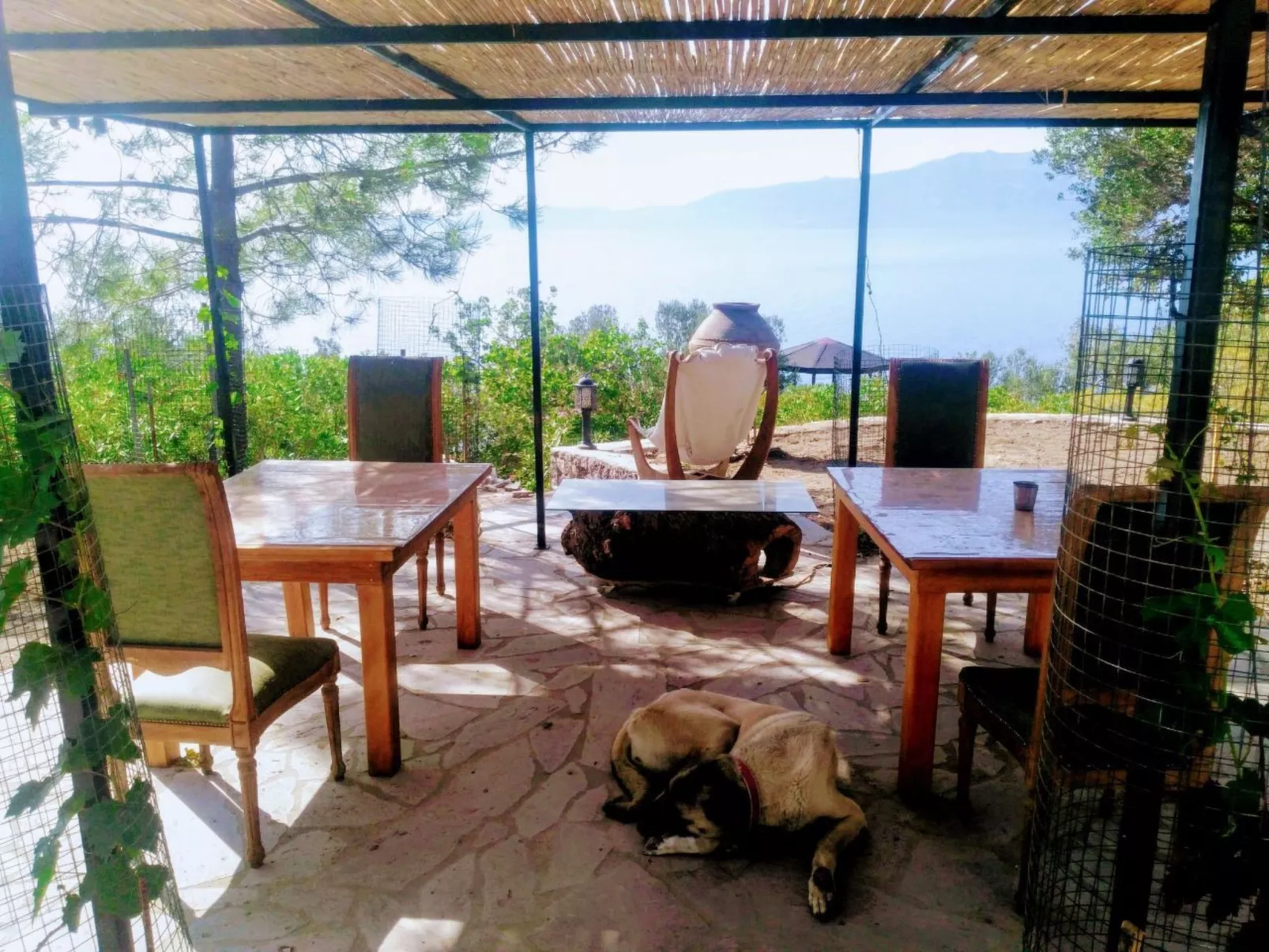 Assos Sivrice Gästehaus-Image-tags.info