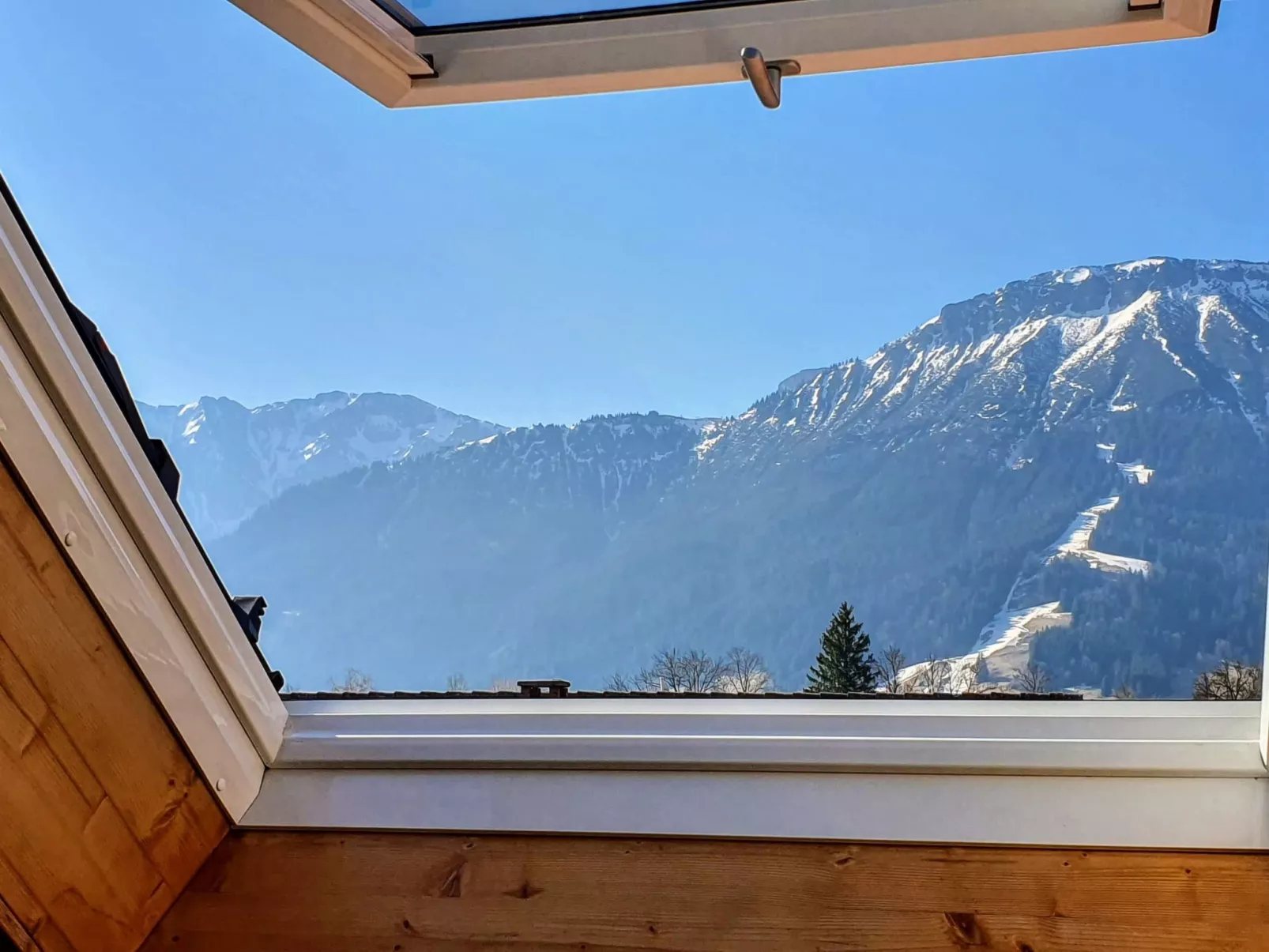 Apartment Nr.1-Image-tags.info