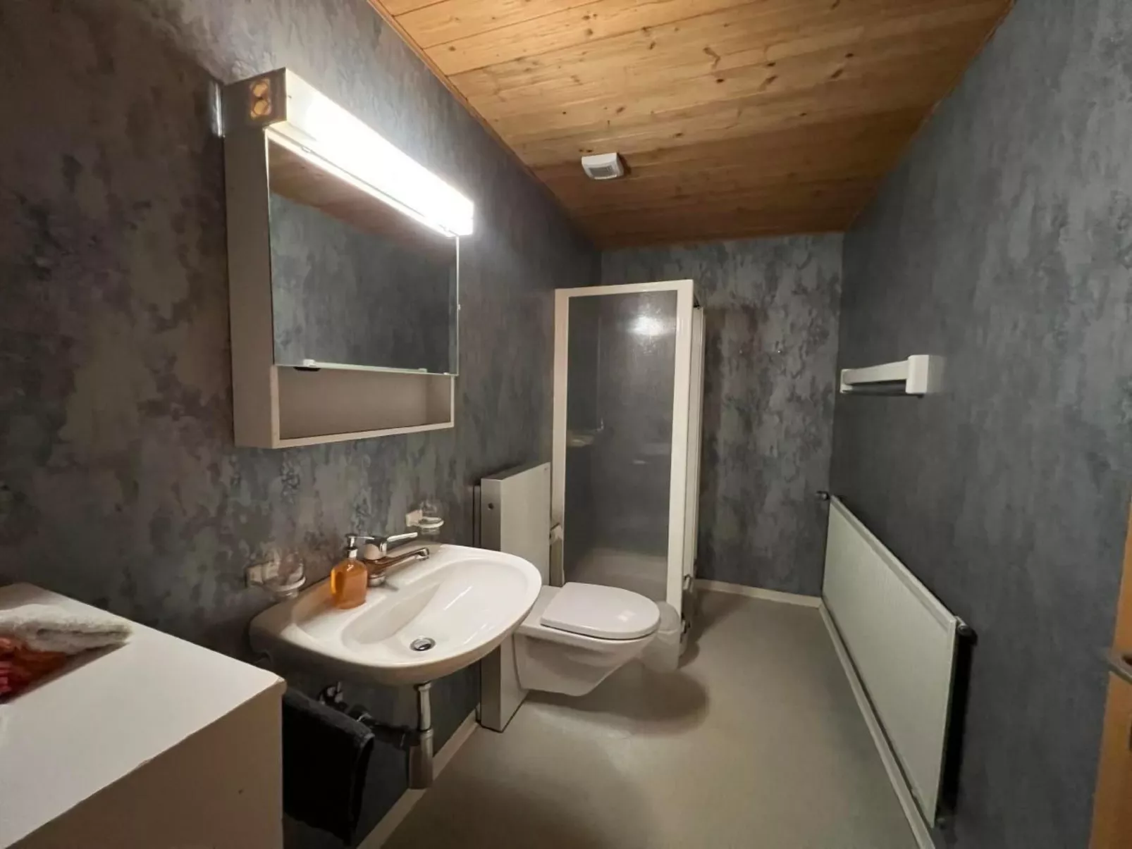 Schafmatthof Dachwohnung-Binnen