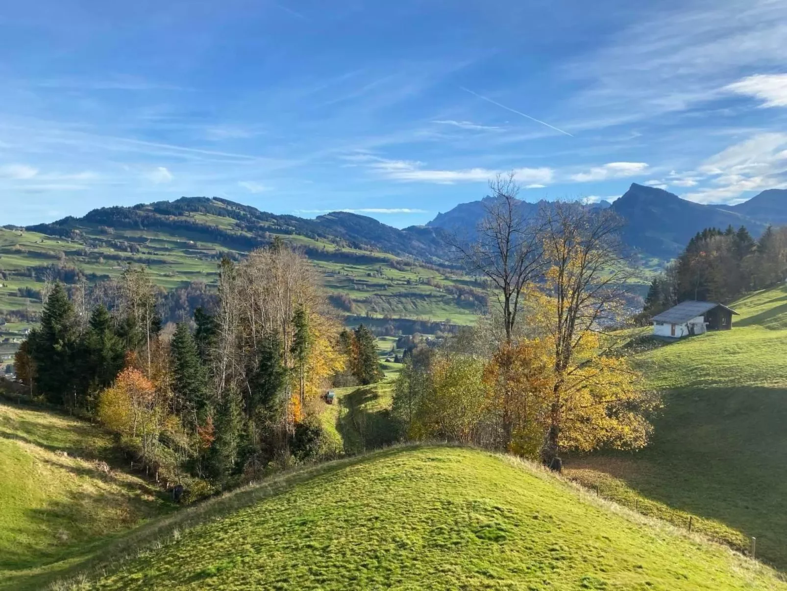 Haus zum Reh - Image-tags.info