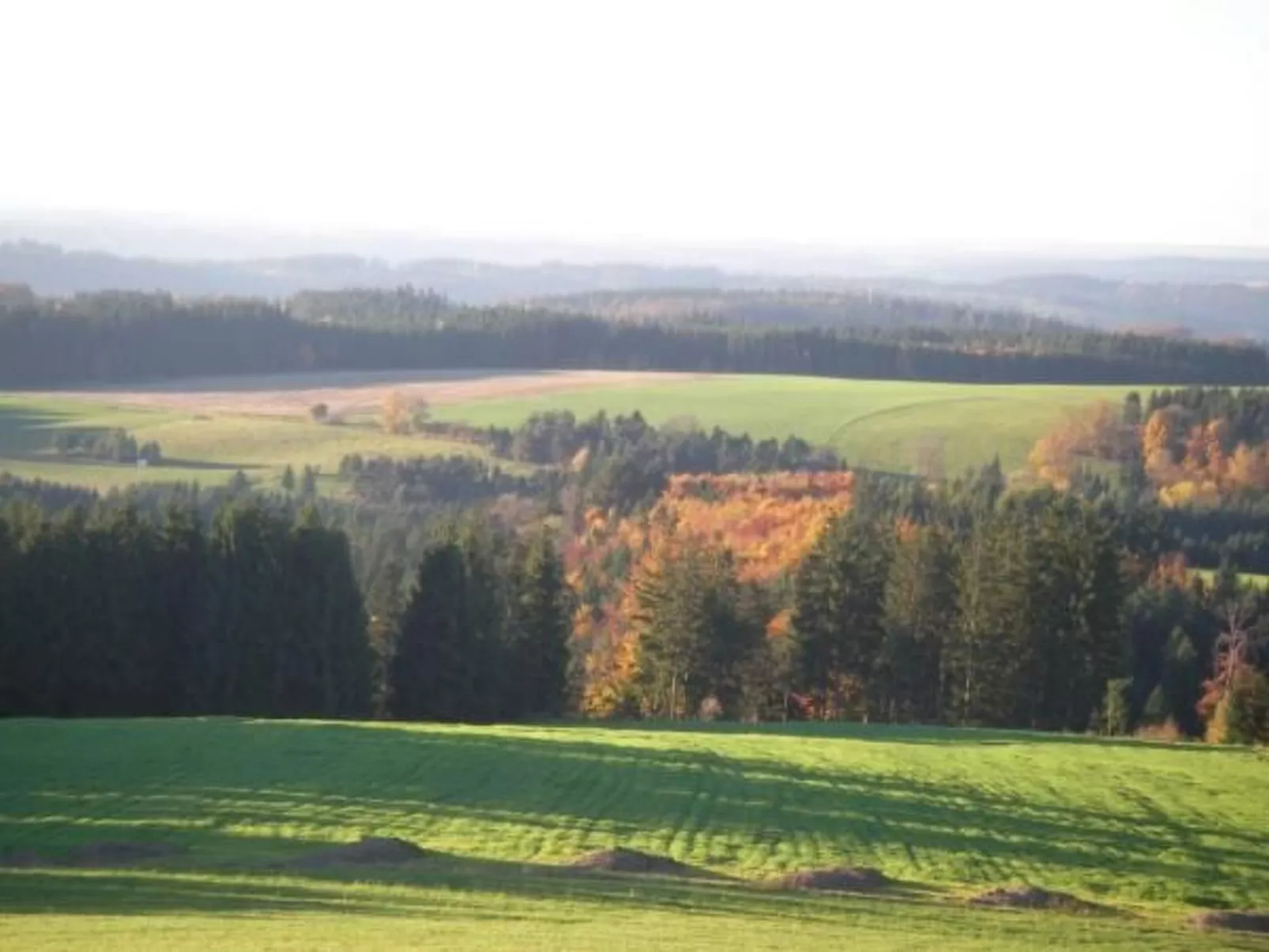 Haus" Walter"-Image-tags.info