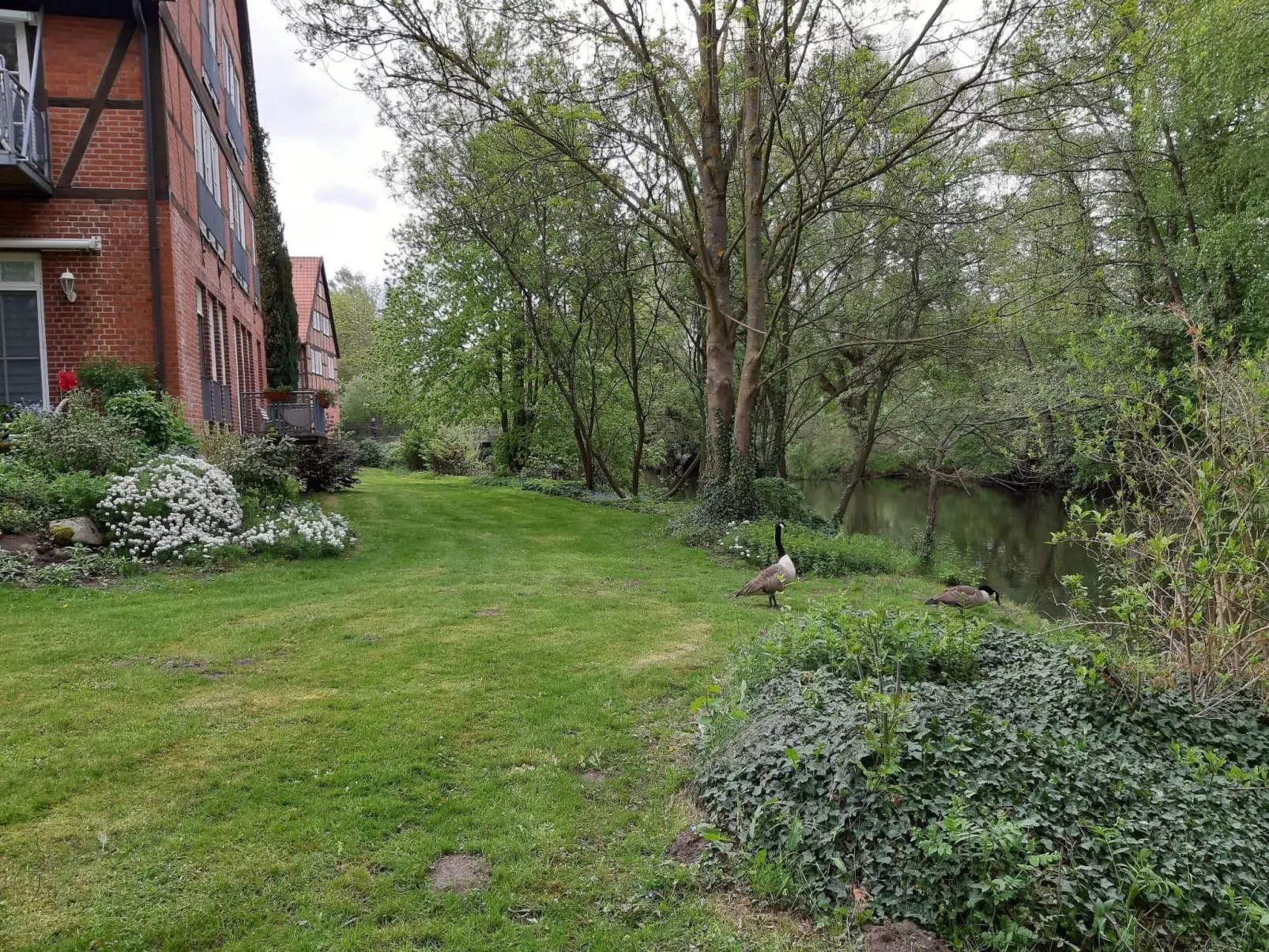 Aurelia-Image-tags.info