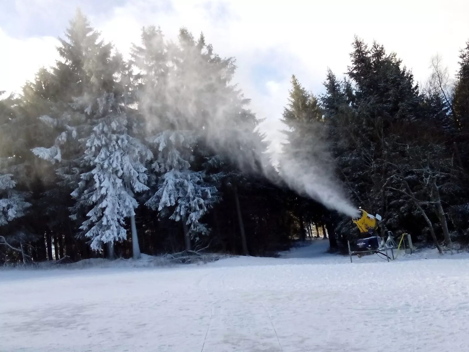 Cat'n'Boots Haus-Buiten