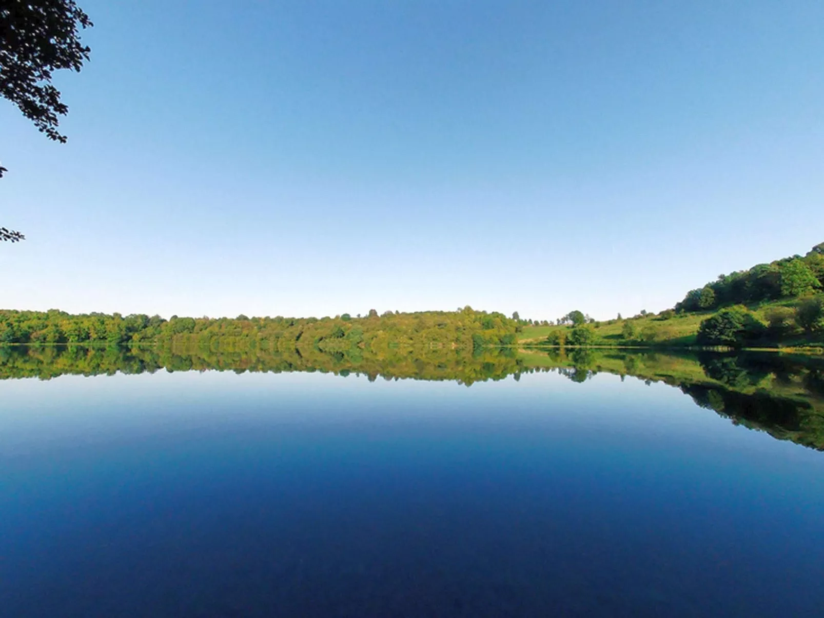 Daun-Image-tags.info