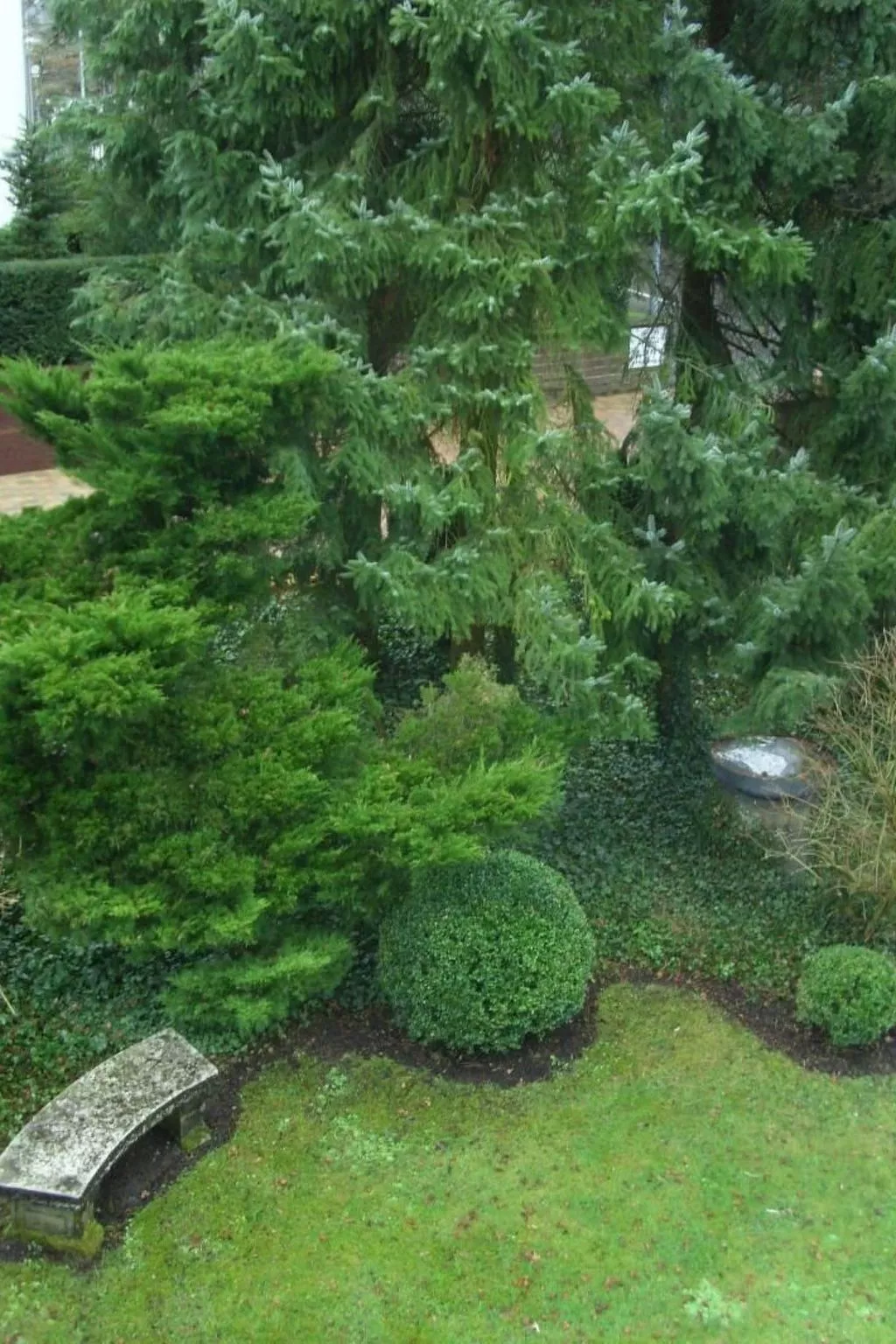 Cassiopaia in Baden-Baden-Buiten