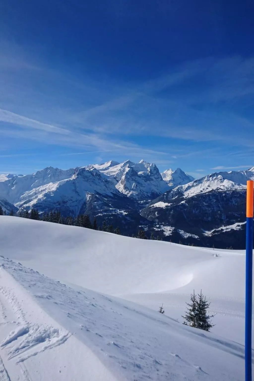 Obererli-Image-tags.info