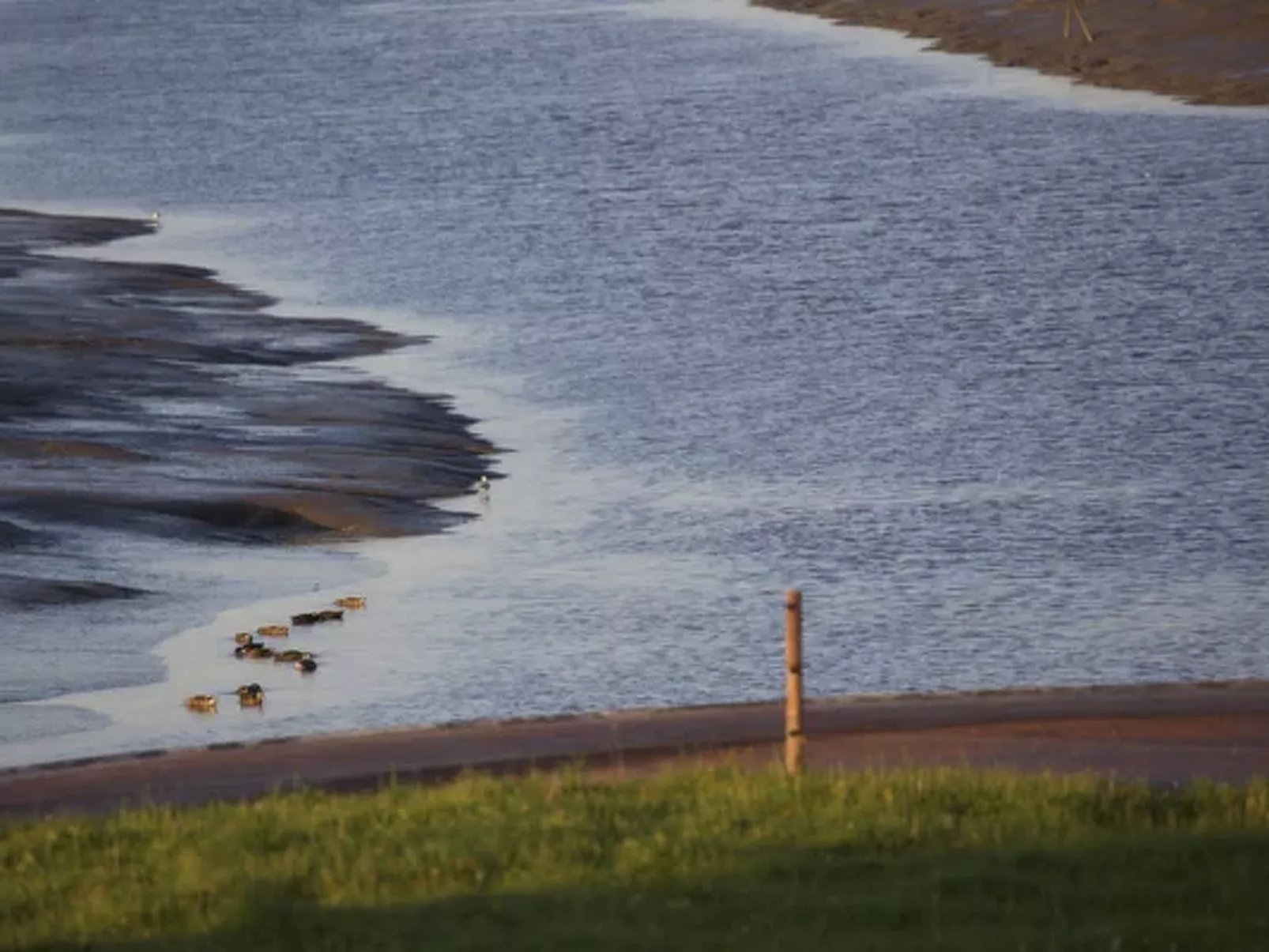 Traumhaftes Reetdachhaus an der Nordsee - Buiten