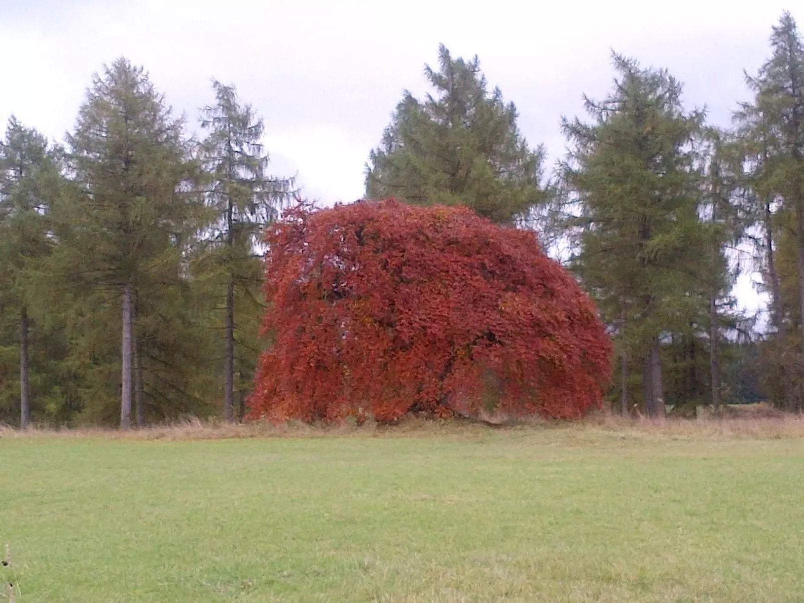 Little Stonehouse-Buiten