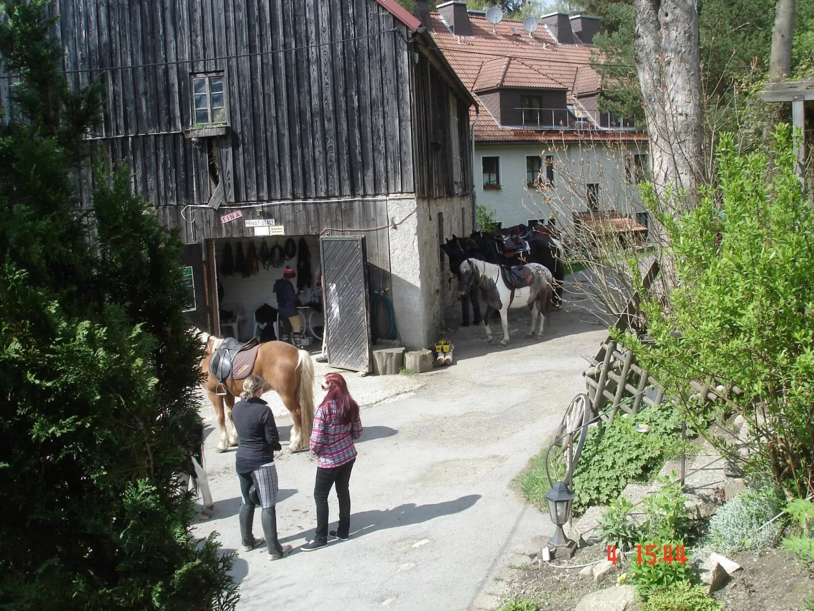 Auf einem Reiterhof-Buiten