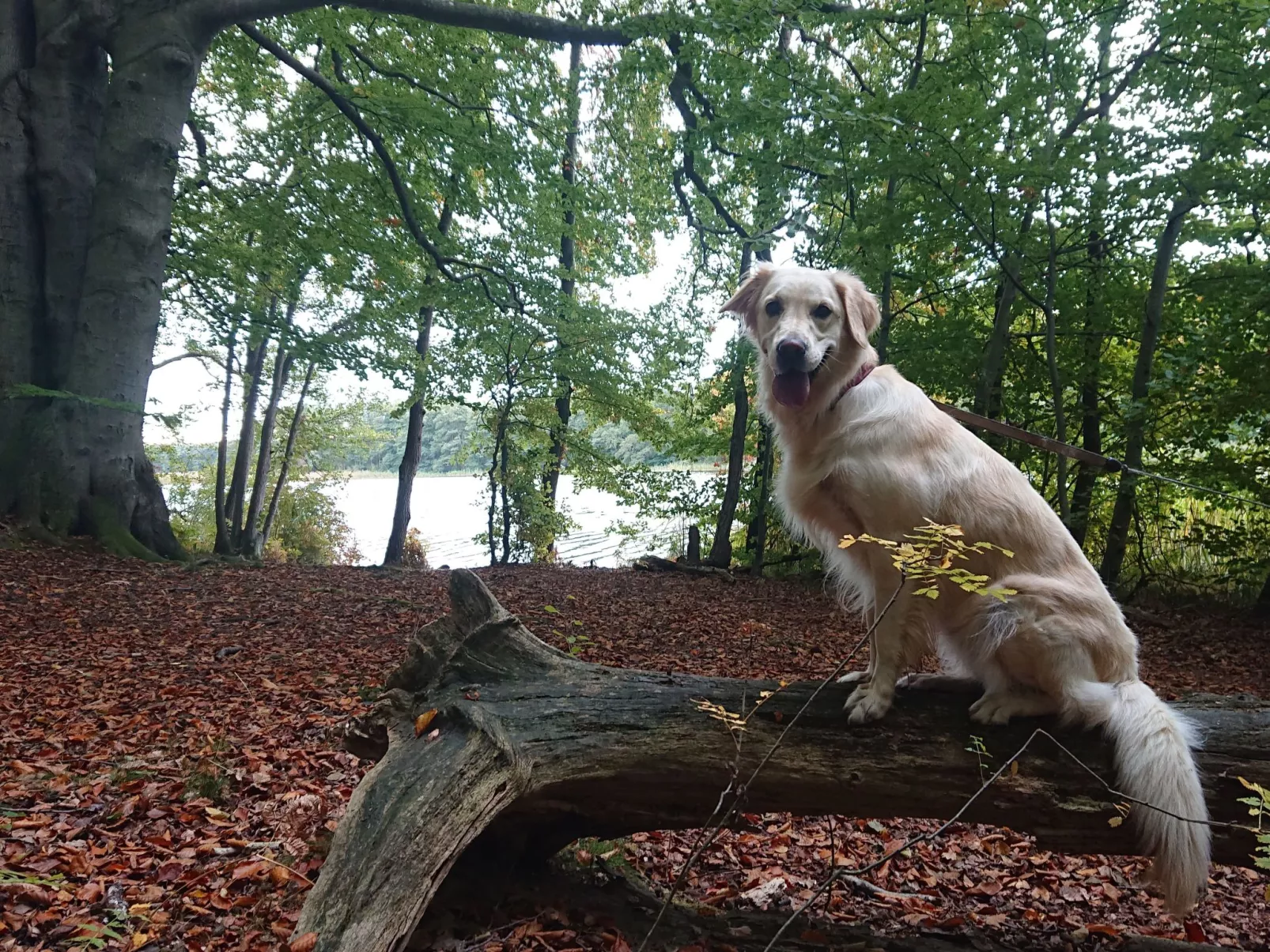 Schaalsee - Auszeit-Buiten