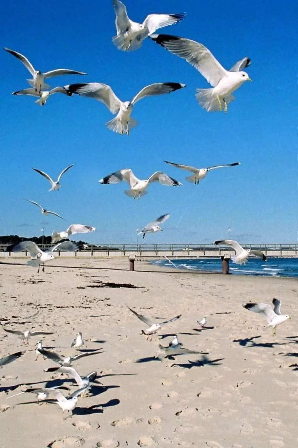 Mit Sauna und Schwimmbadnutzung-Image-tags.info