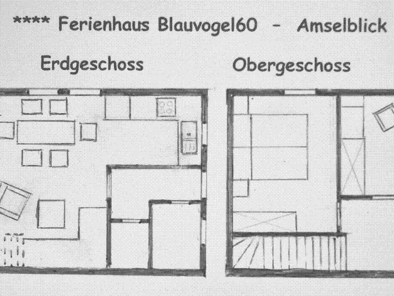 Blauvogel-Image-tags.info