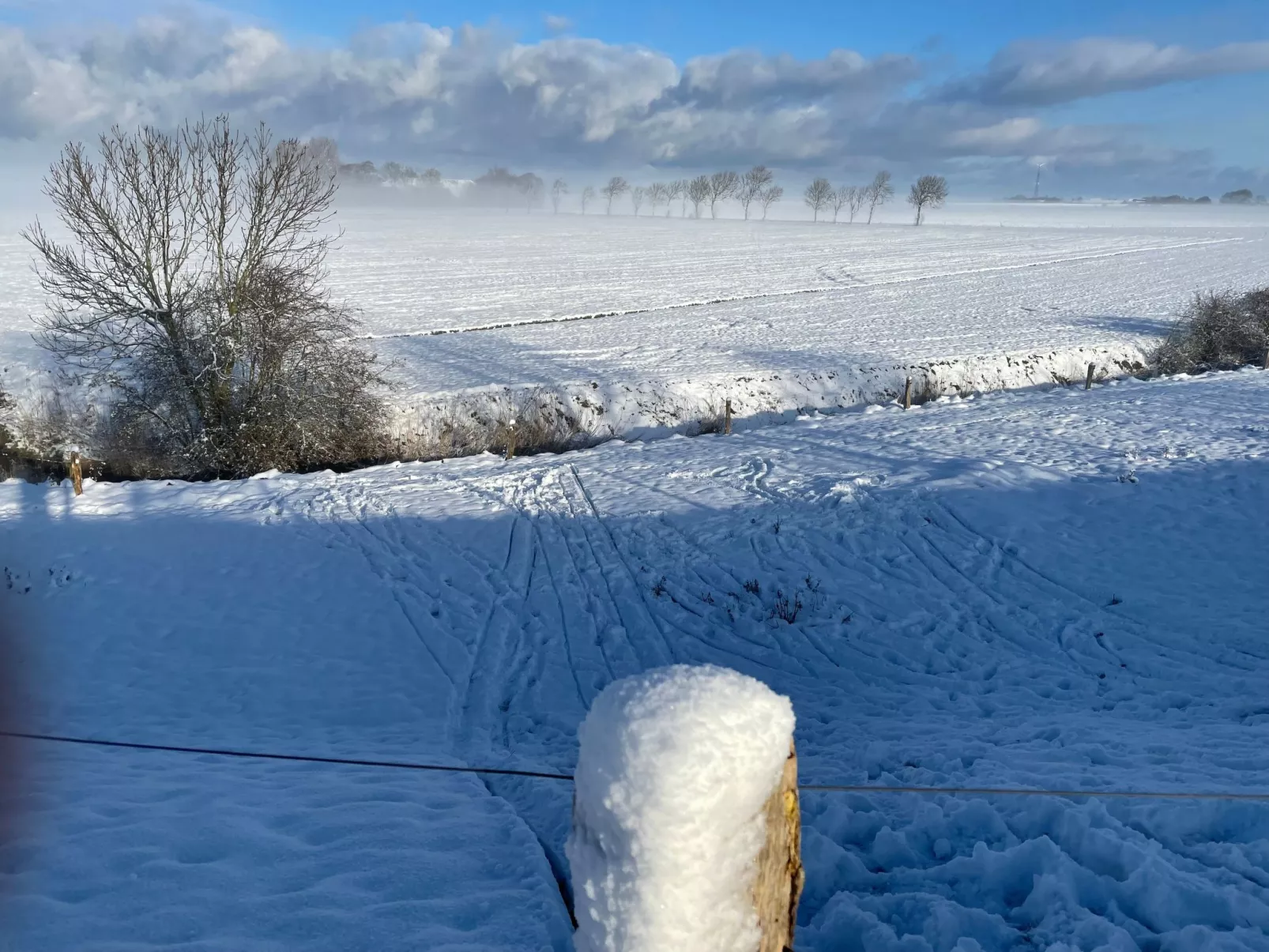 Deichstraße 101-Buiten