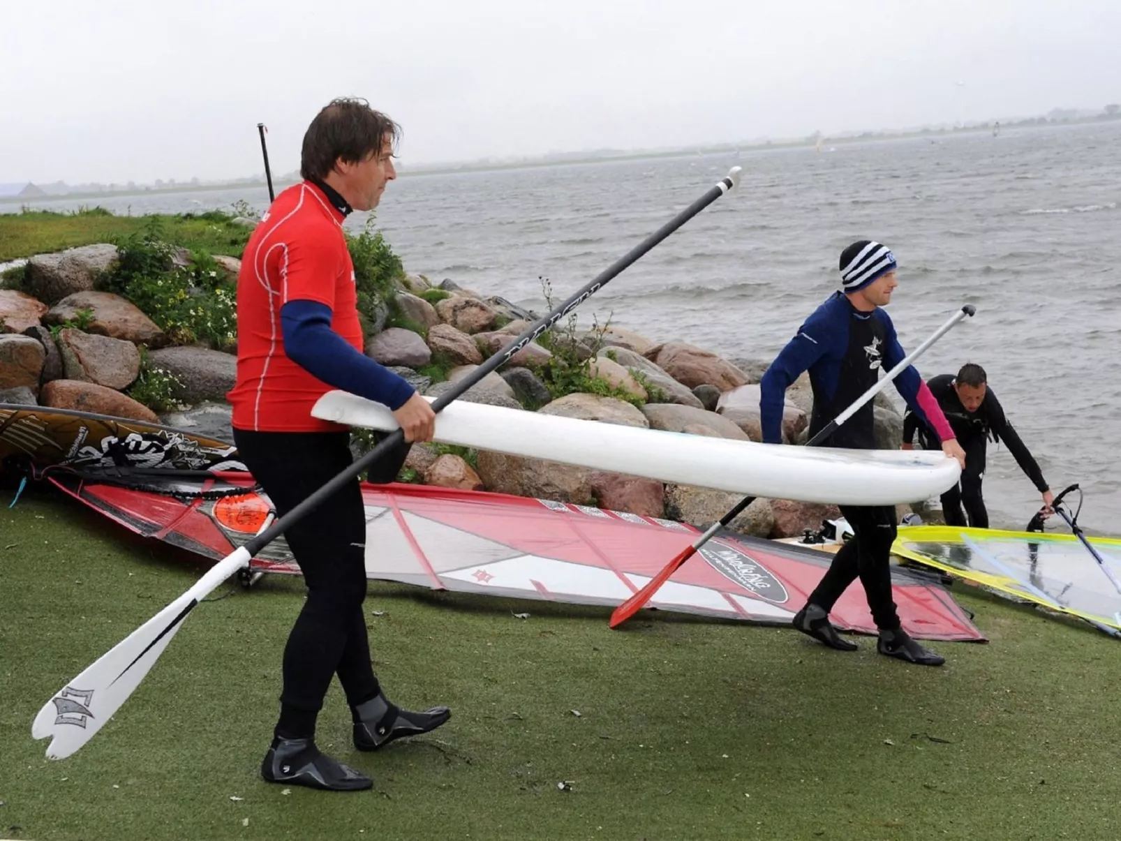 Heringsmöwe in Neue Tiefe-Buiten