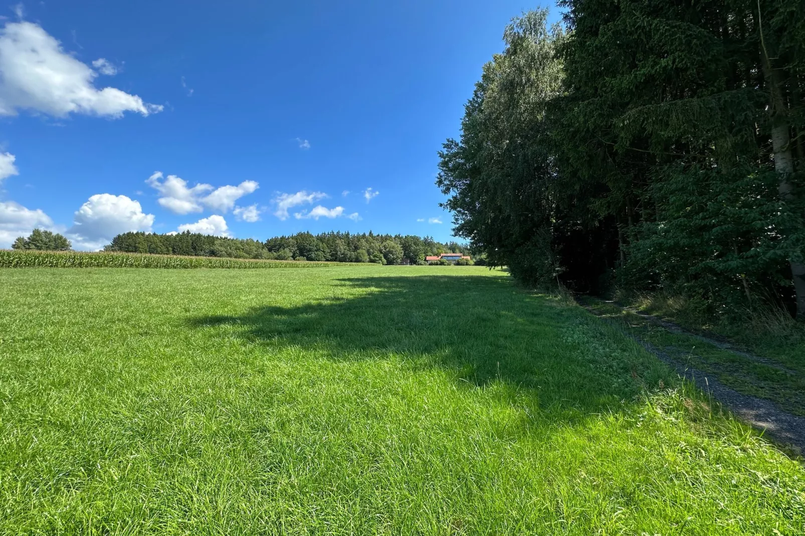 Kleinenzenried-Gebieden zomer 1km