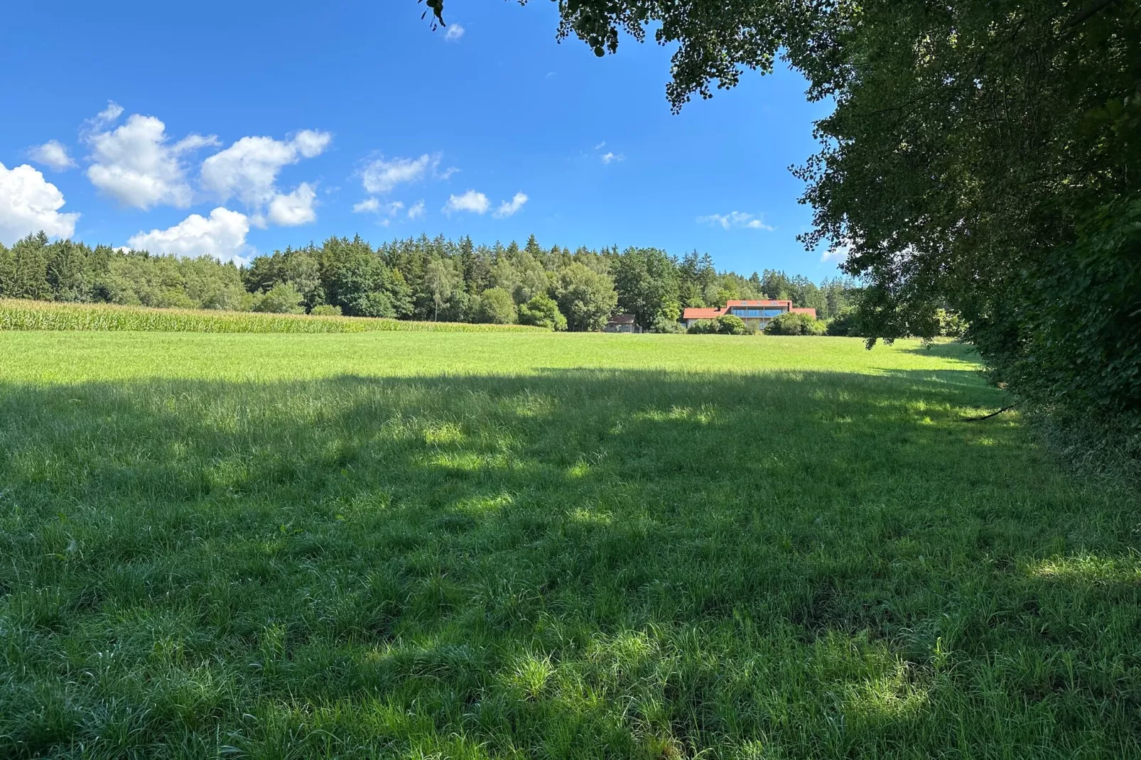 Kleinenzenried-Gebieden zomer 1km