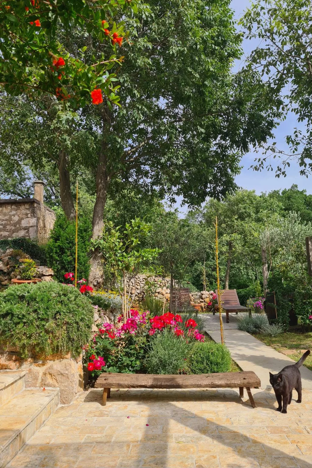 Altes Steinhaus Goranova Kuca-Buiten