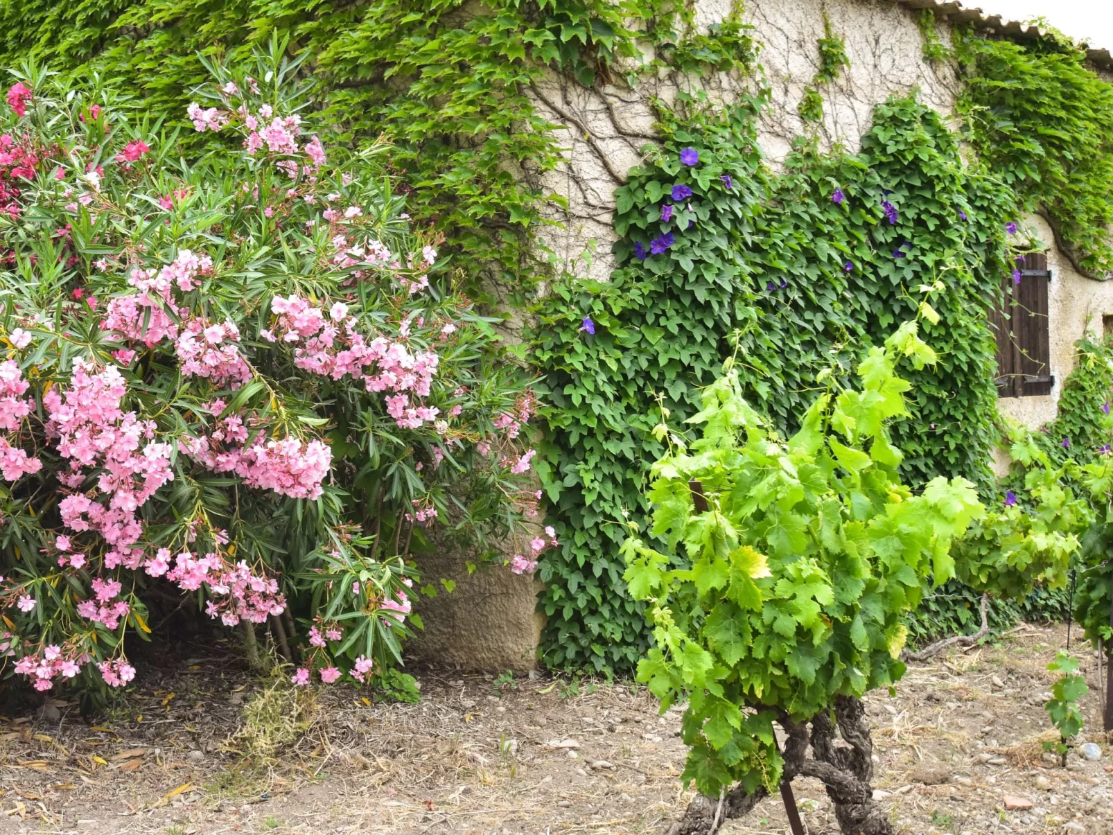 Für 2 Personen und 2 Kinder-Buiten
