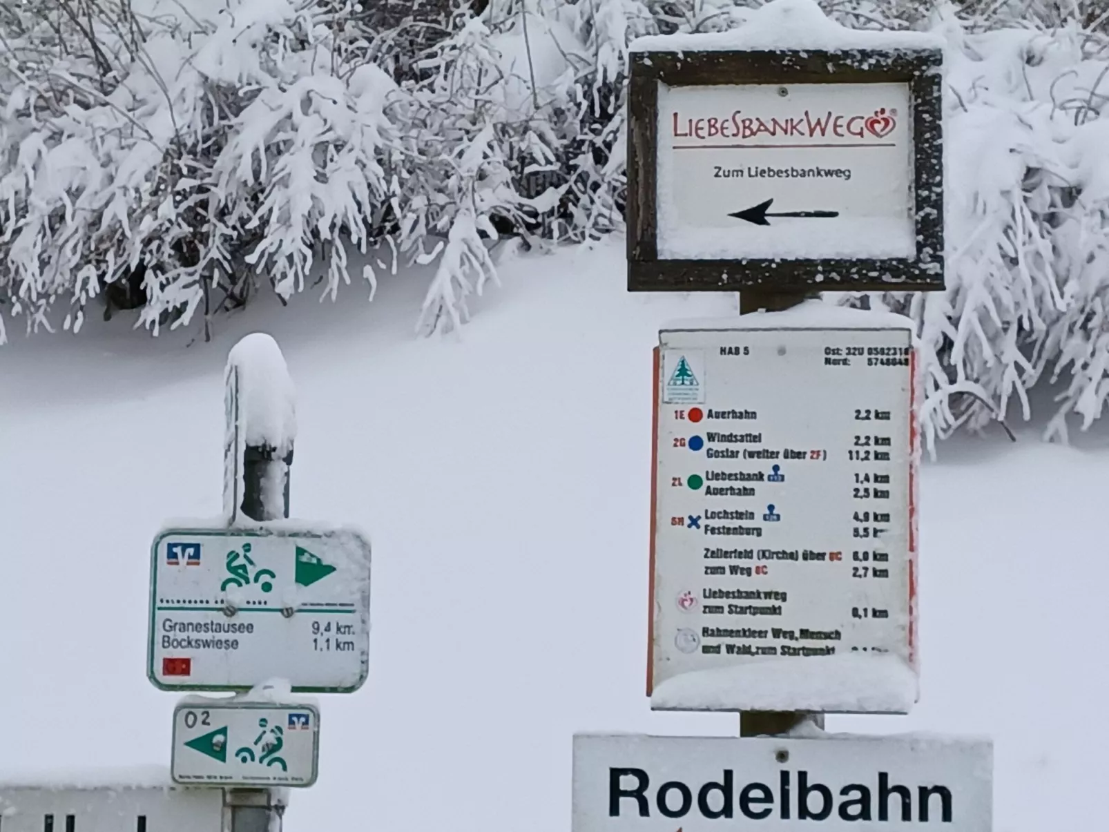 Walli OG Hahnenklee-Buiten