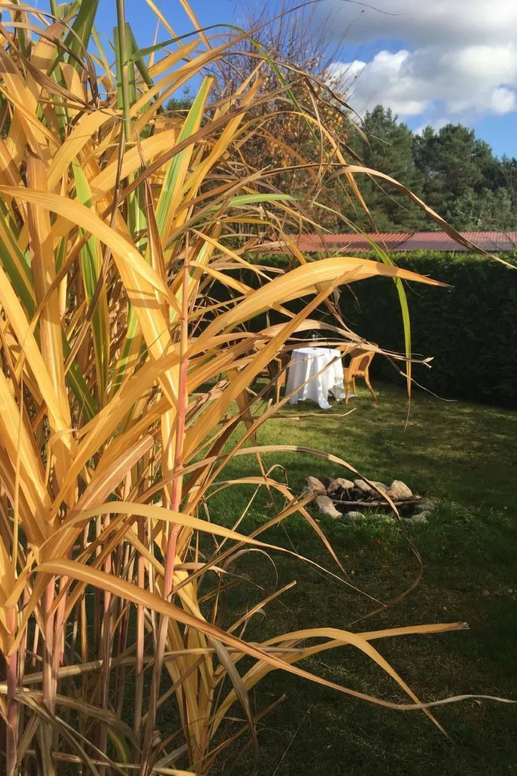 Bungalow Mecklenburgische Seenplatte-Buiten
