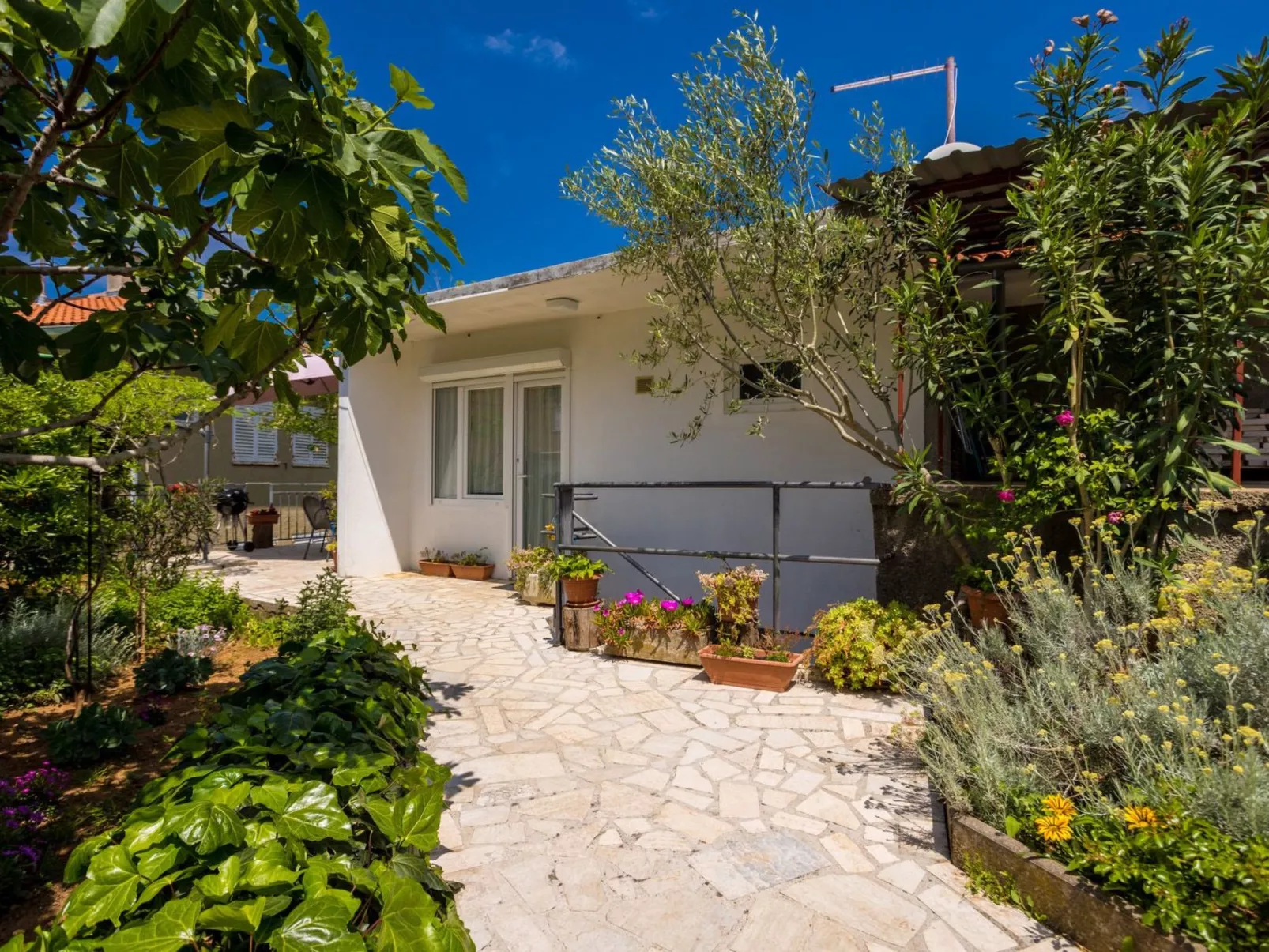 Apartment Andjelko-Buiten