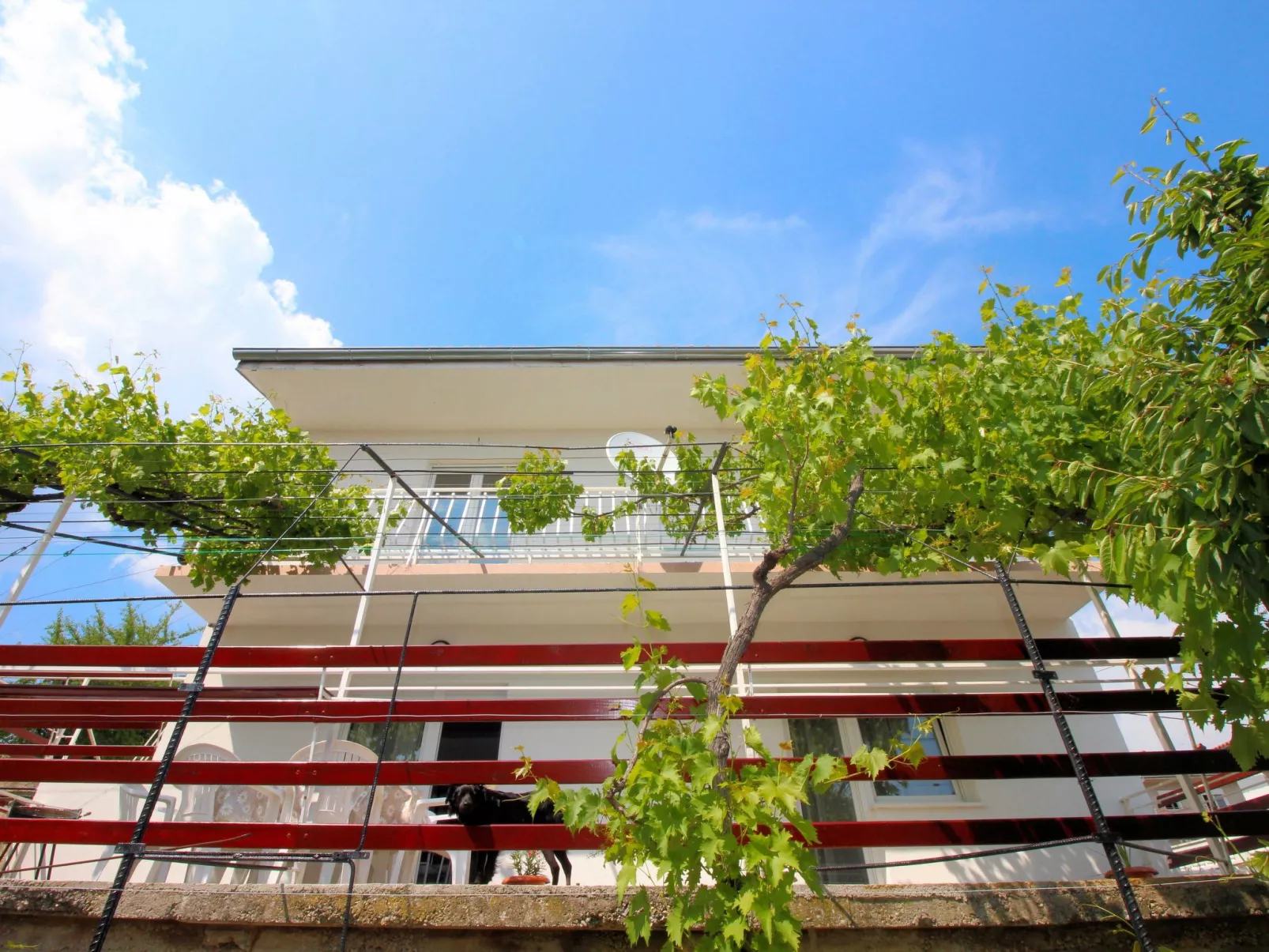 "Mihaljevic Tatjana"-Buiten