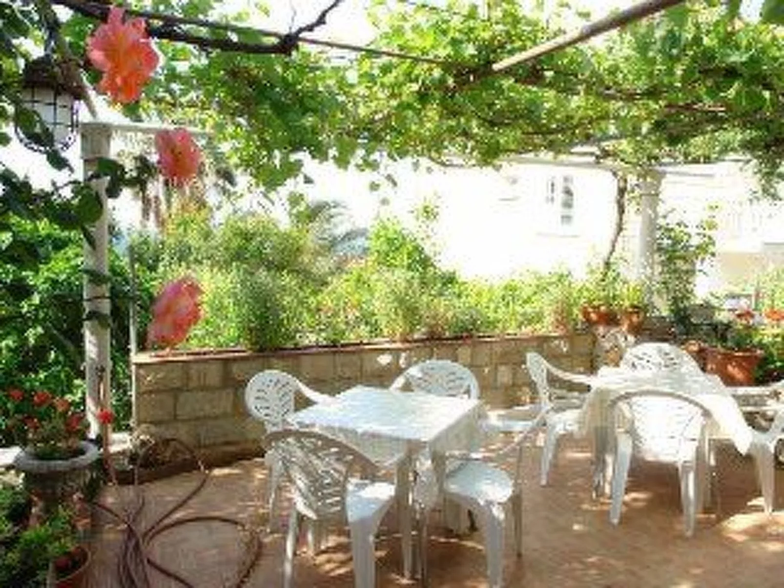 Für 3 Personen ca. 30 m&sup2; in Dubrovnik, Dalmatien (Dubrovnik-Neretva)-Buiten