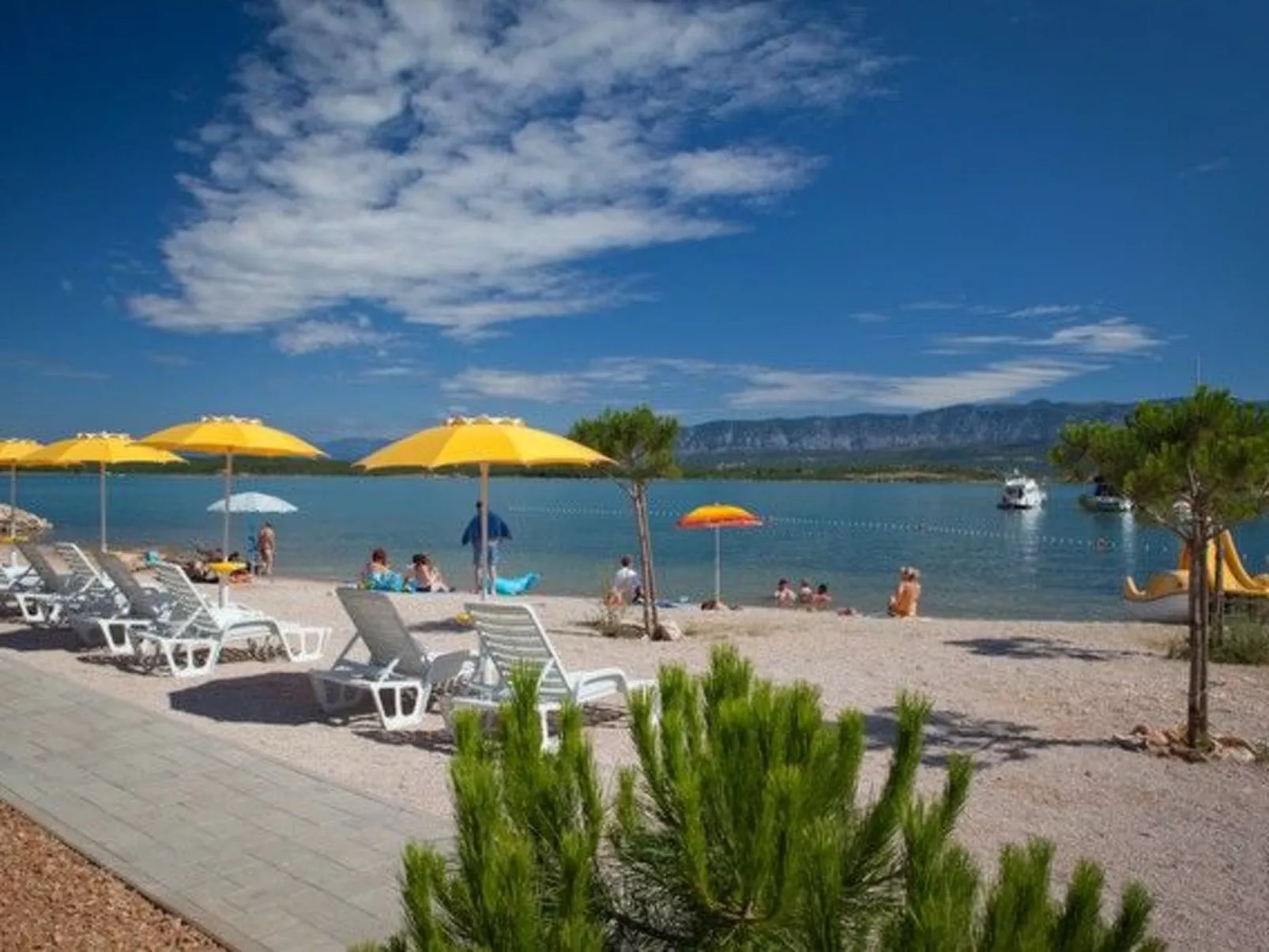 Fenix-Image-tags.info