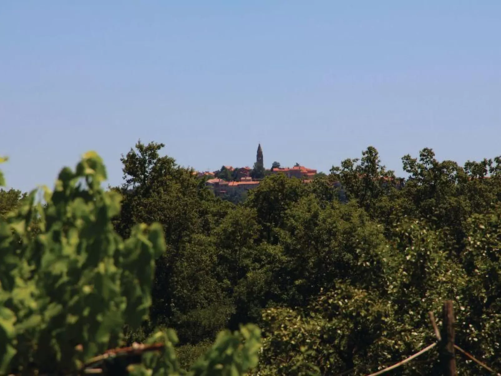 Haus Mia-Image-tags.info