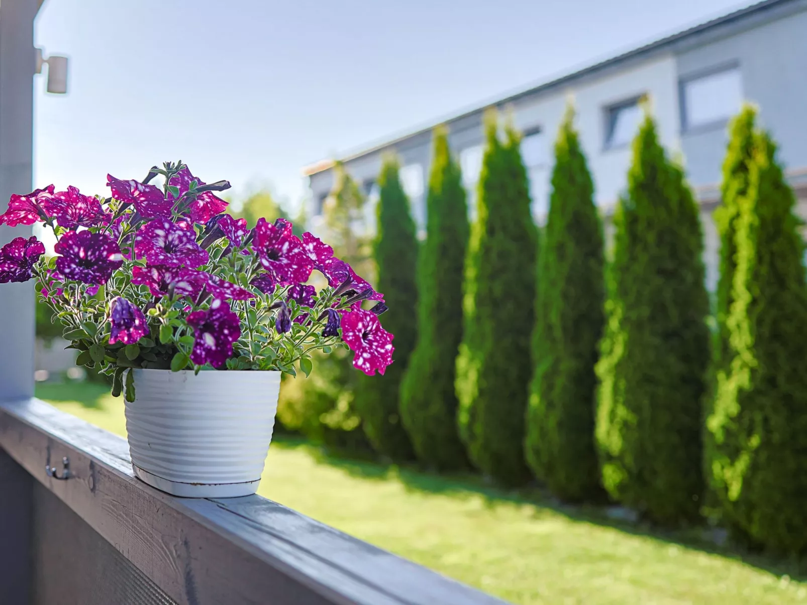 "Aurora" mit Terrasse-Buiten