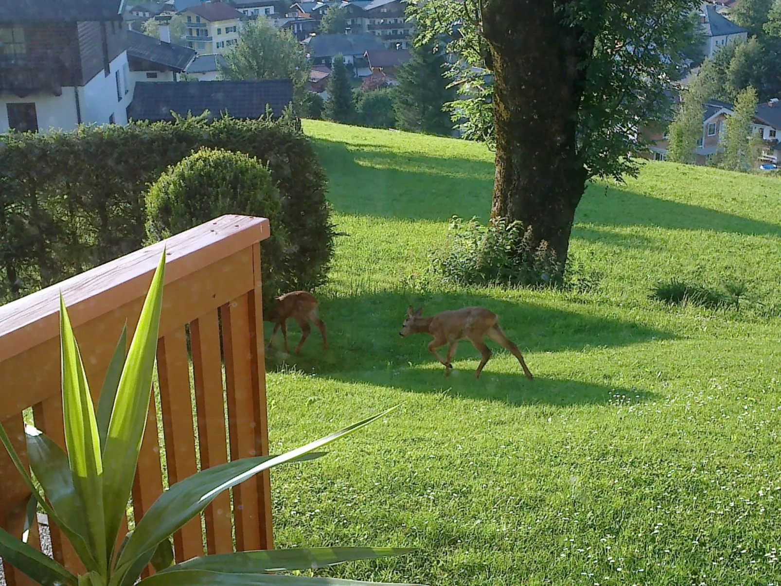 Apartment Bergblick-Buiten