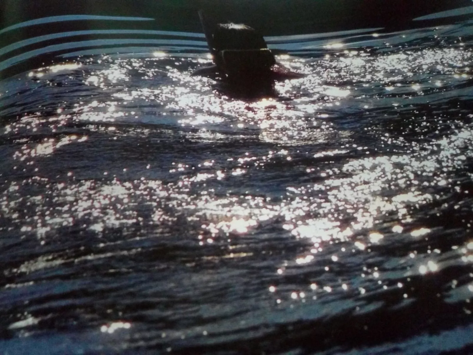 Apartment TOP 3-Buiten