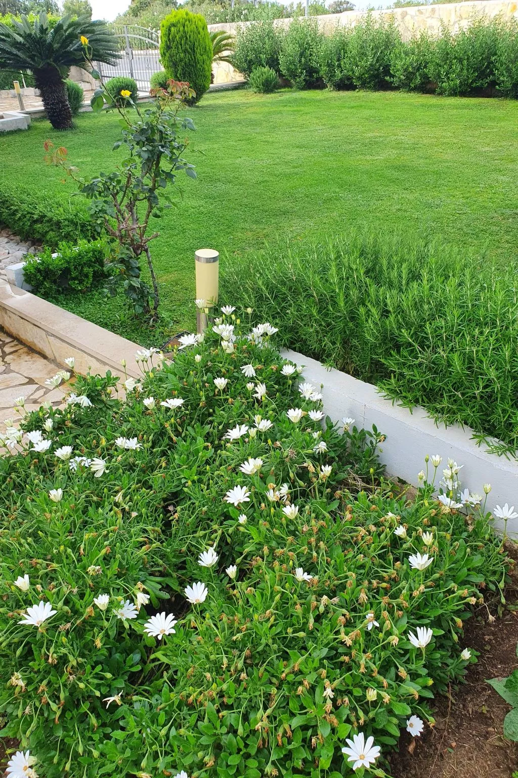 Komplett ausgestattete Wohnung für 7 Personen-Buiten